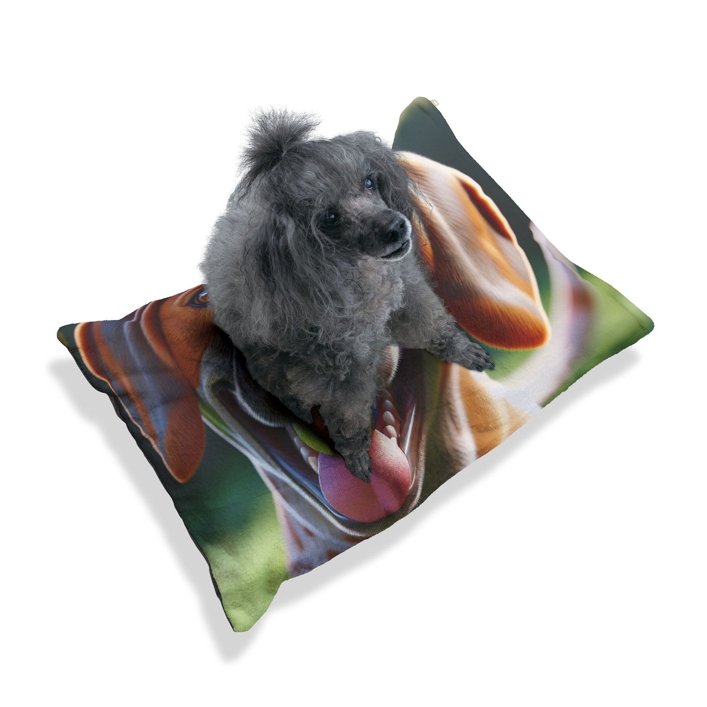 Braque St. Germain Pet Bed