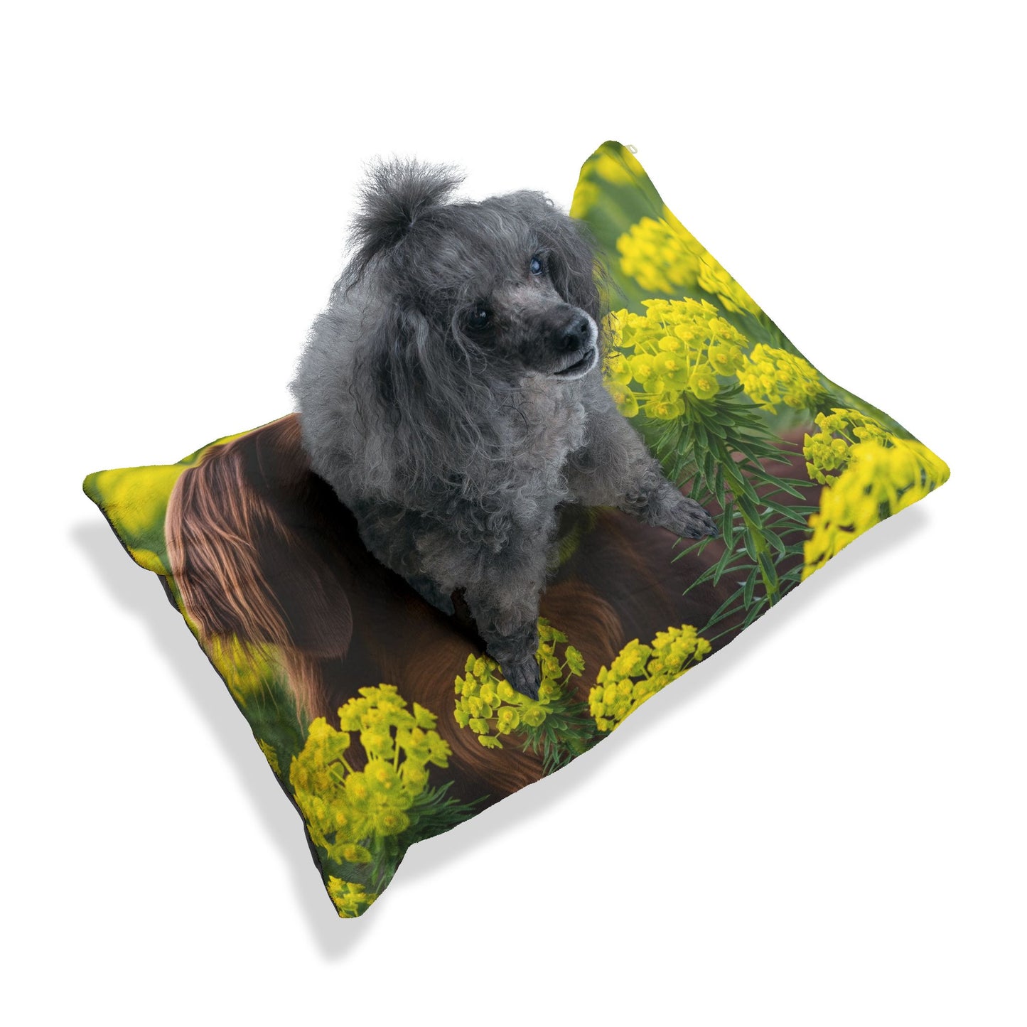 Hovawart Pet Bed