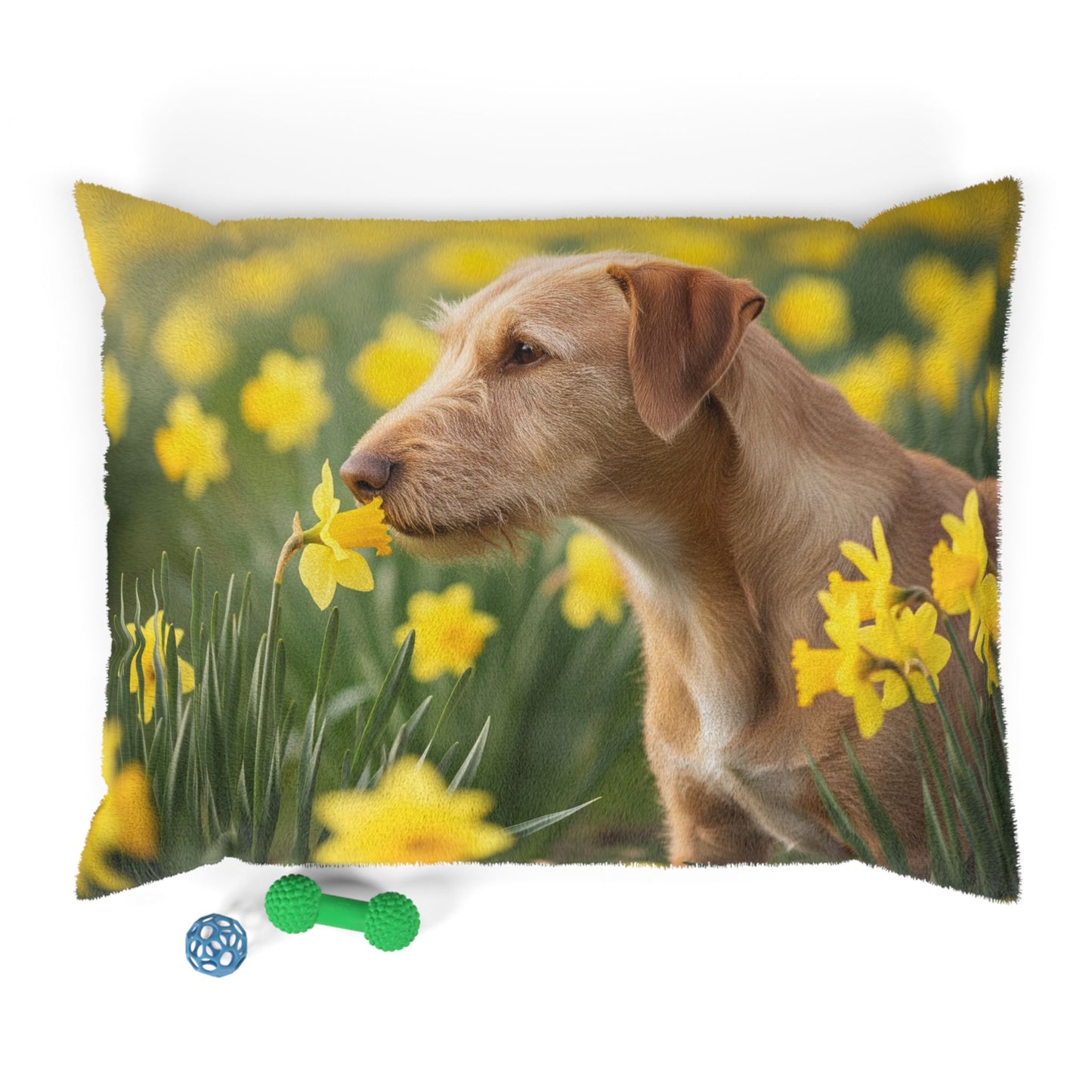 Portuguese Podengo Pequeno Pet Bed