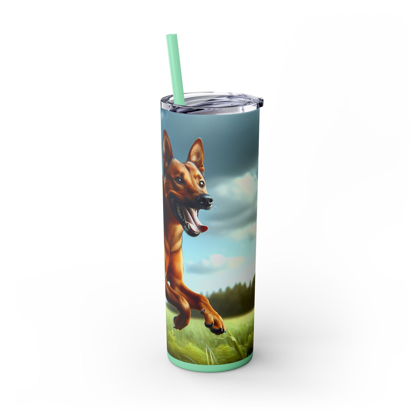 Kanni Tumbler with Straw, 20oz