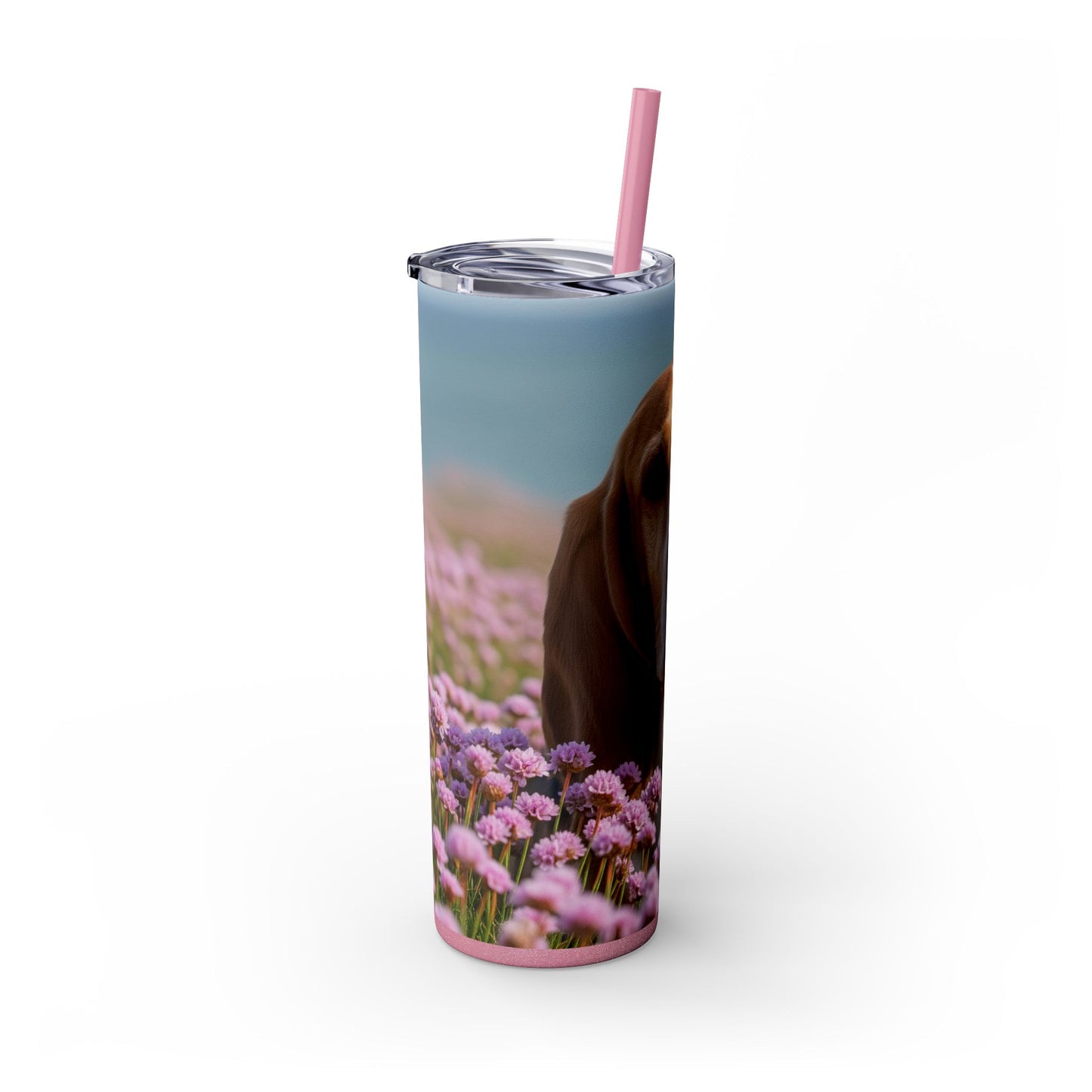 Basset Fauve de Bretagne Skinny Tumbler with Straw, 20oz