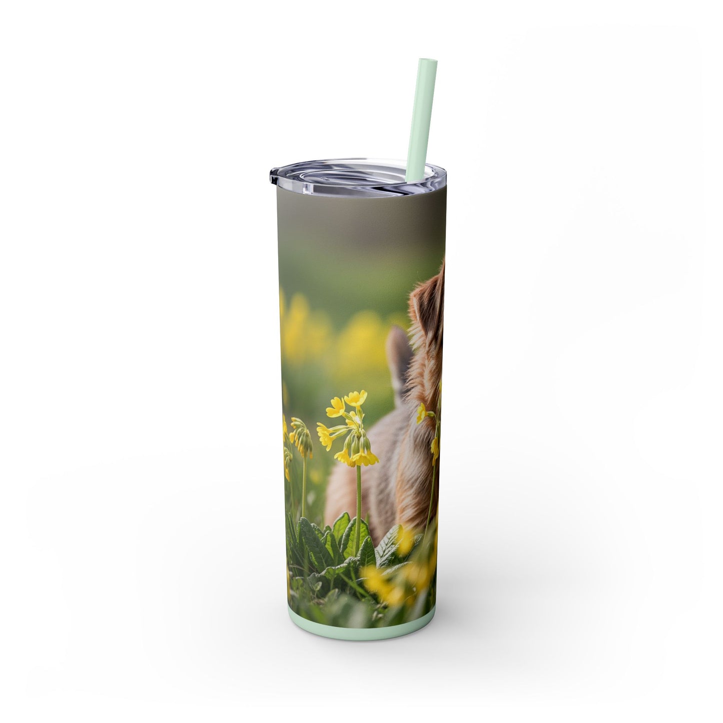 Norfolk Terrier Skinny Tumbler with Straw, 20oz
