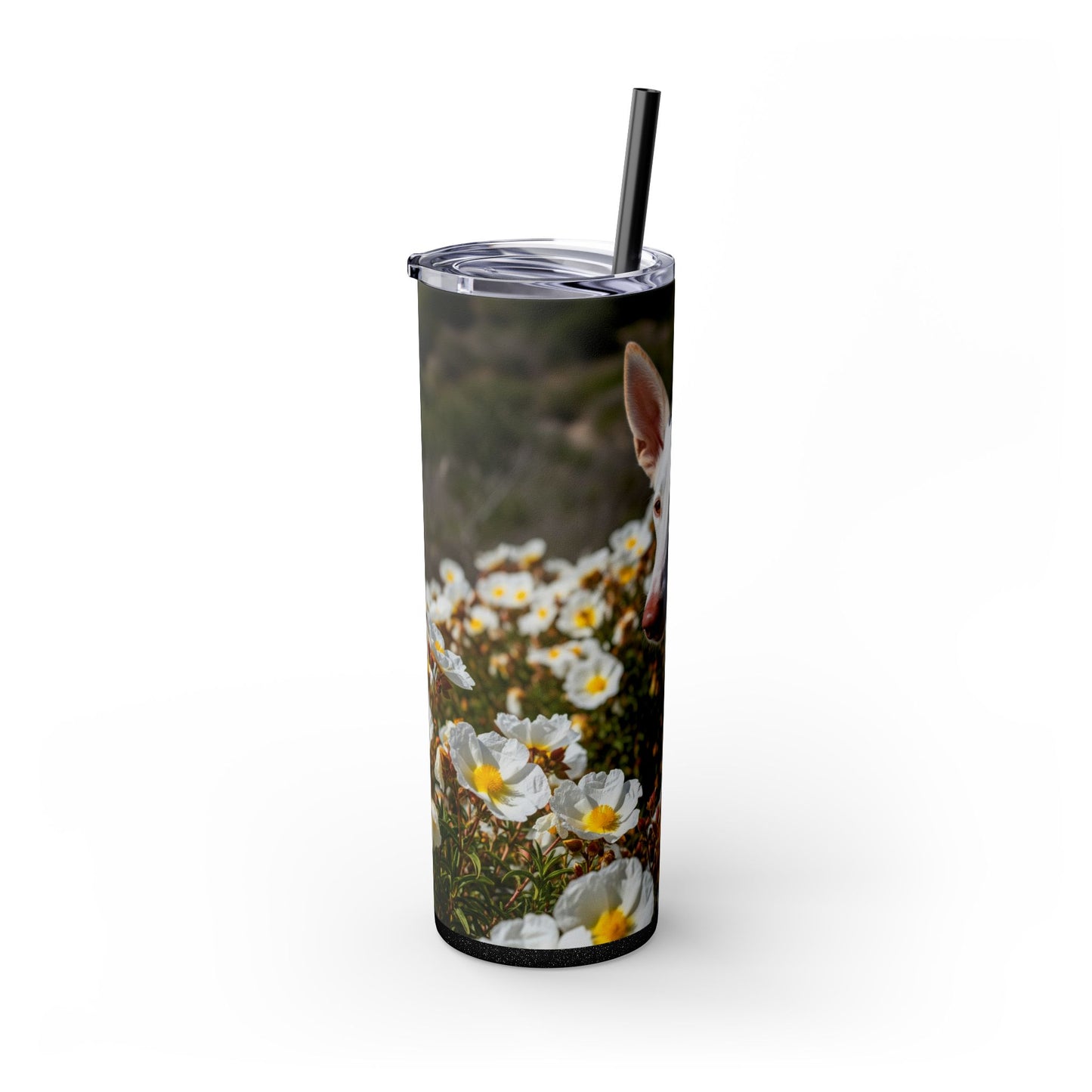 Ibizan Hound Tumbler with Straw, 20oz