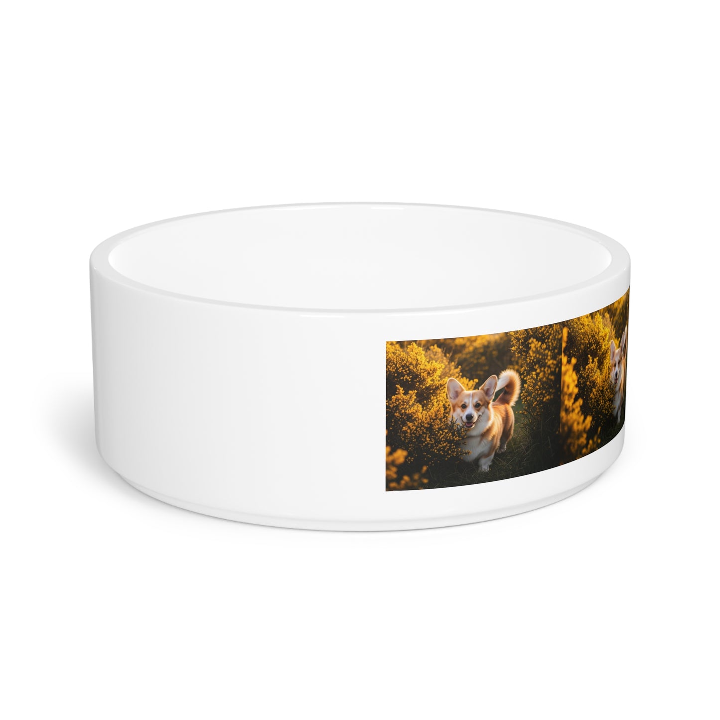 Pembroke Welsh Corgi Pet Bowl