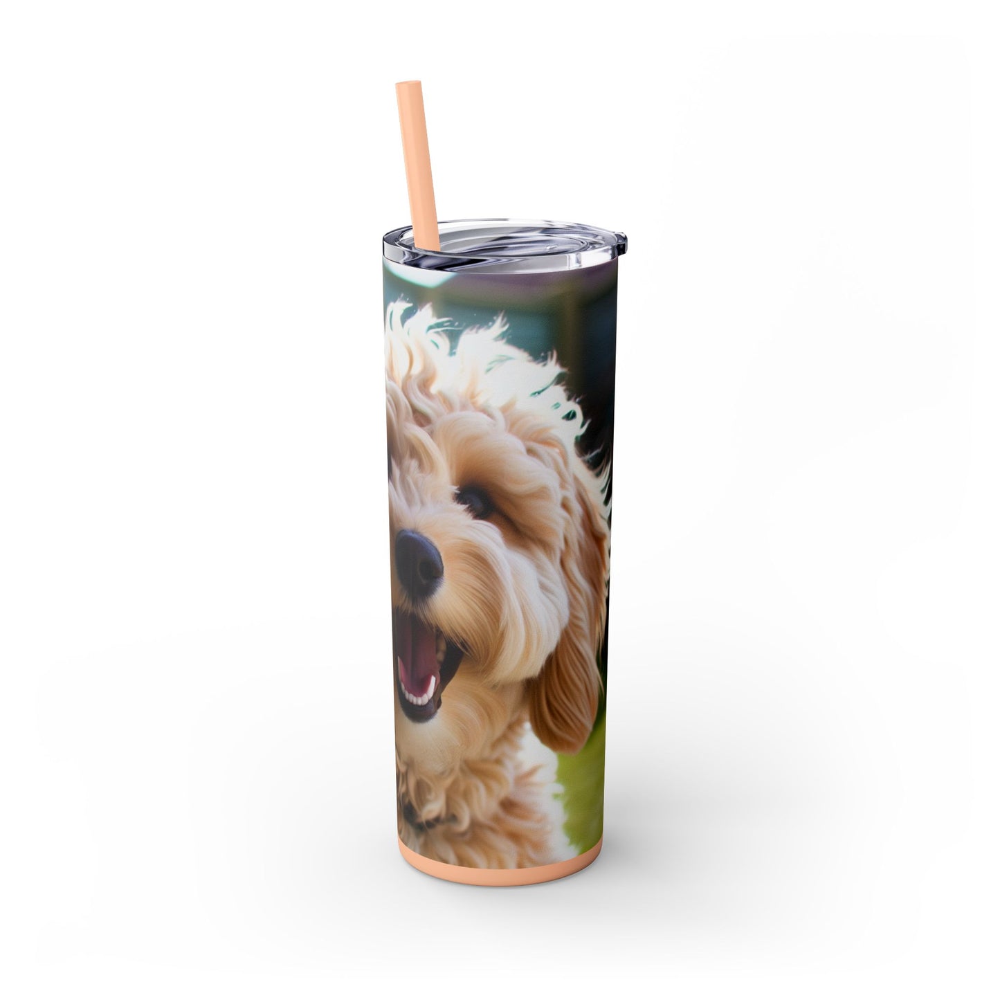 Groodle Tumbler with Straw, 20oz