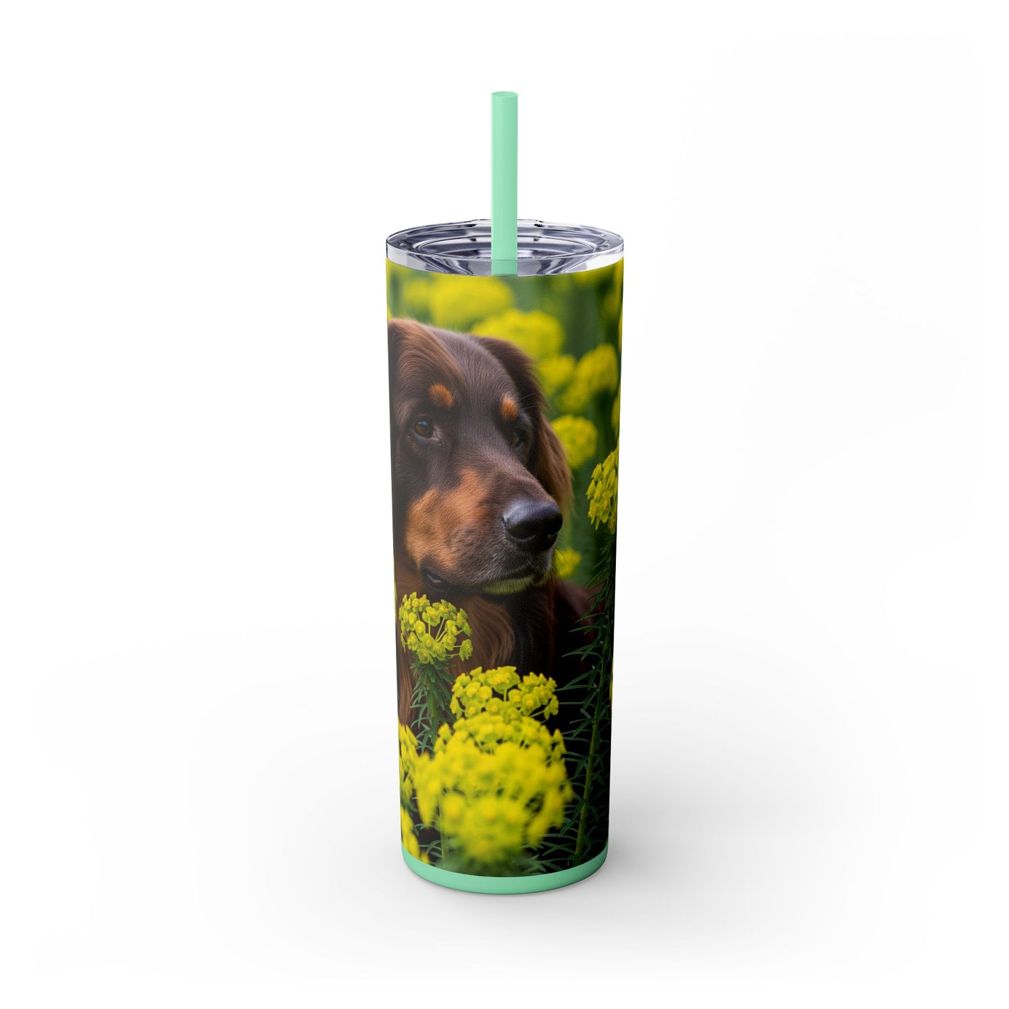 Hovawart Tumbler with Straw, 20oz