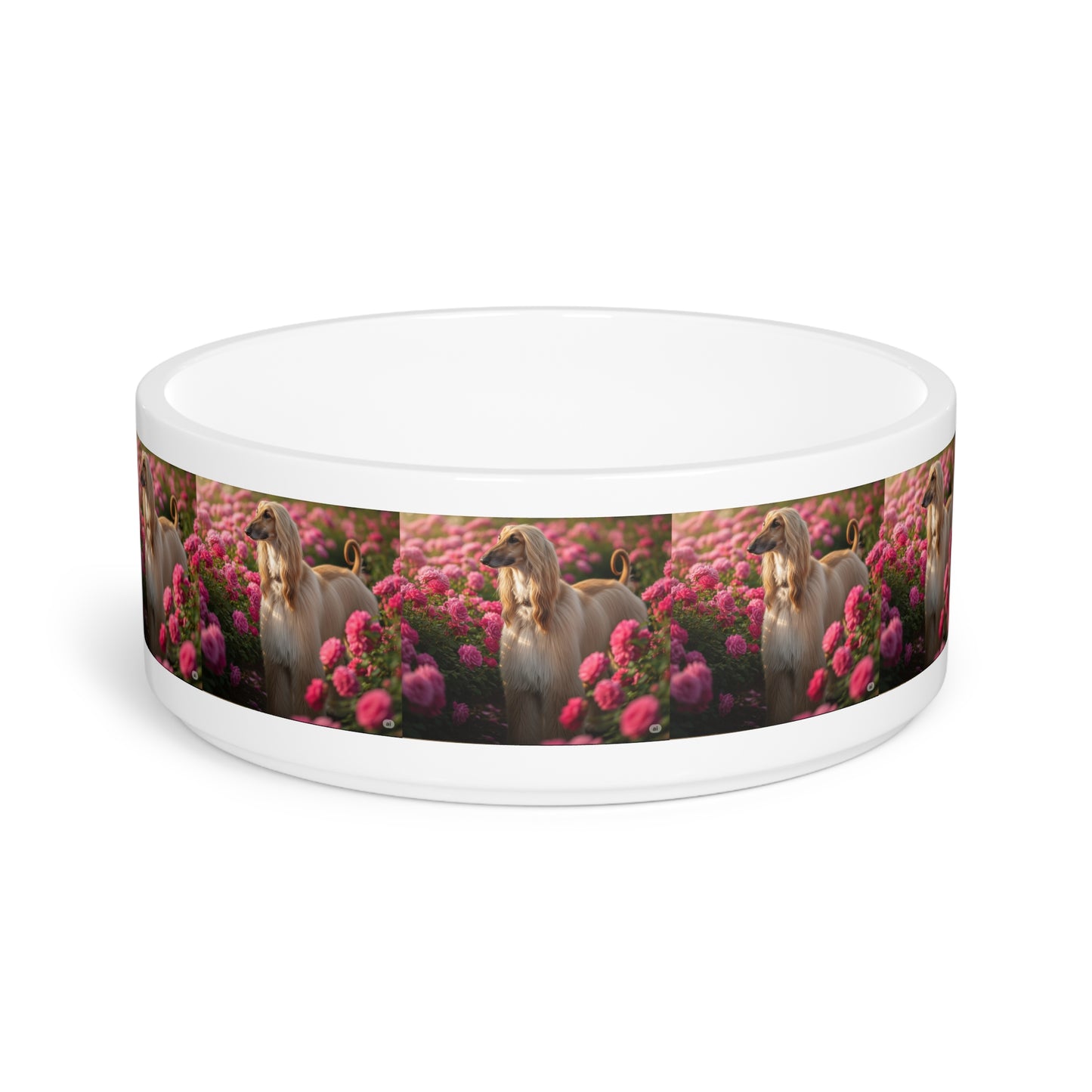 Afghan Hound Pet Bowl