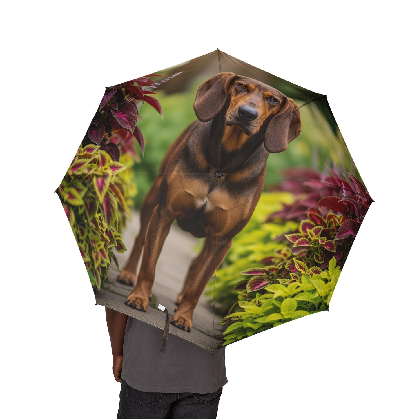 Hamiltonstovare Semi-Automatic Foldable Umbrella