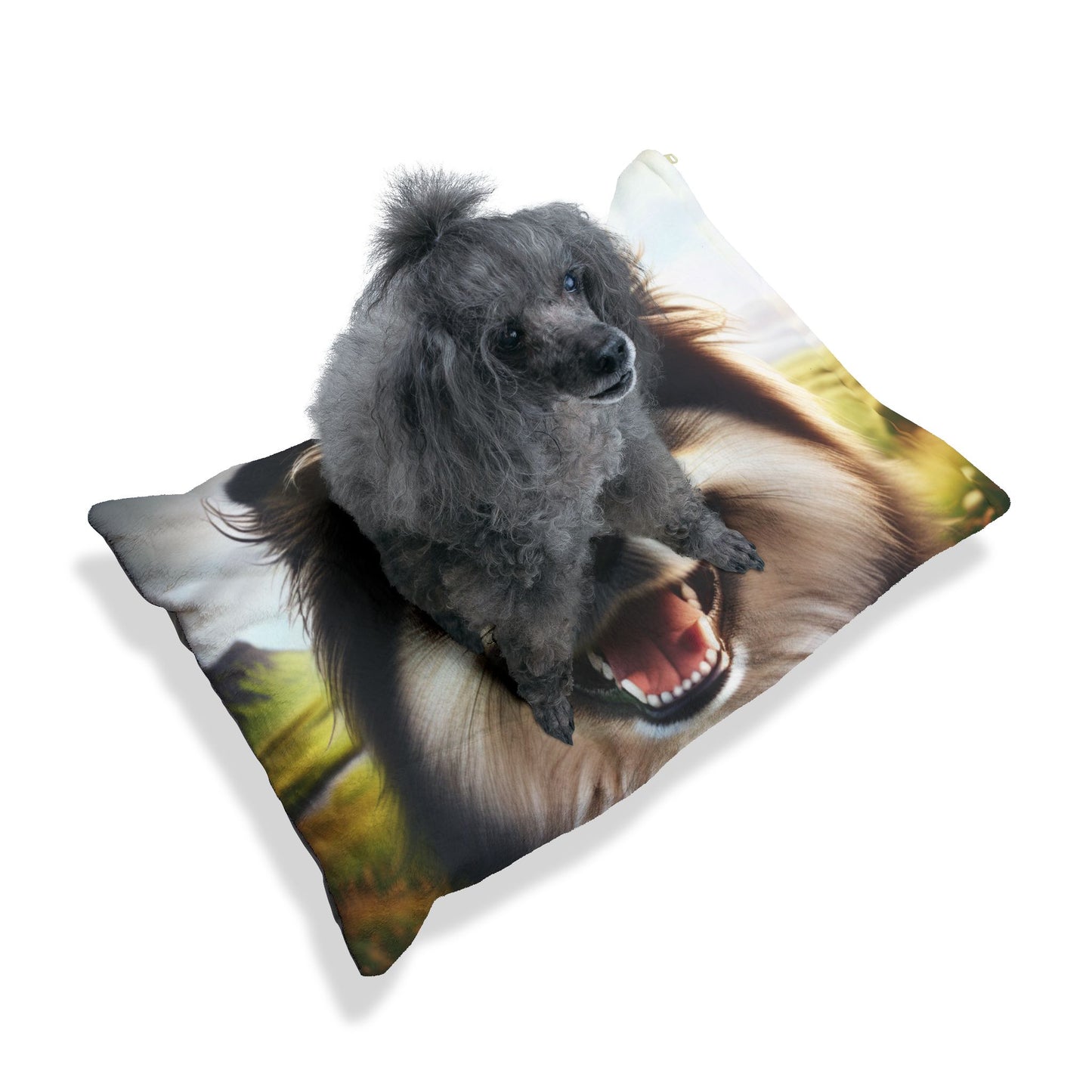 Icelandic Sheepdog Pet Bed