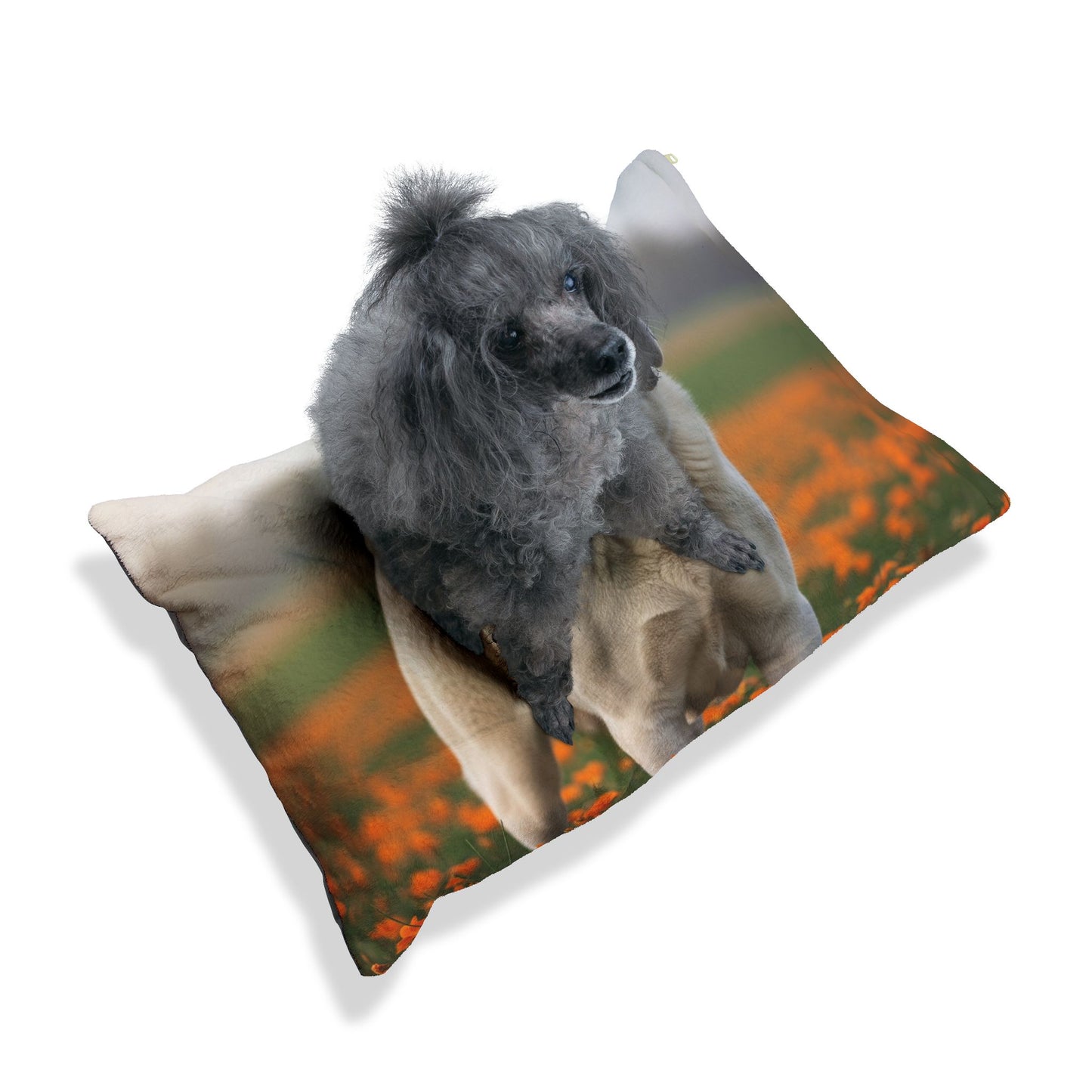 Central Asian Shepherd Dog Pet Bed