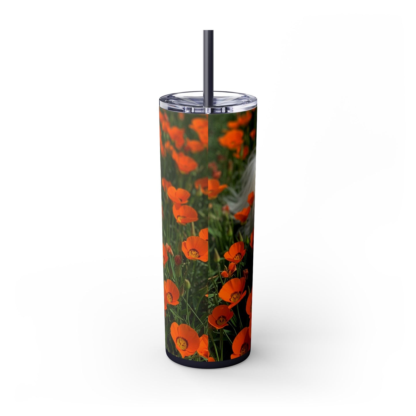 Havanese Tumbler with Straw, 20oz