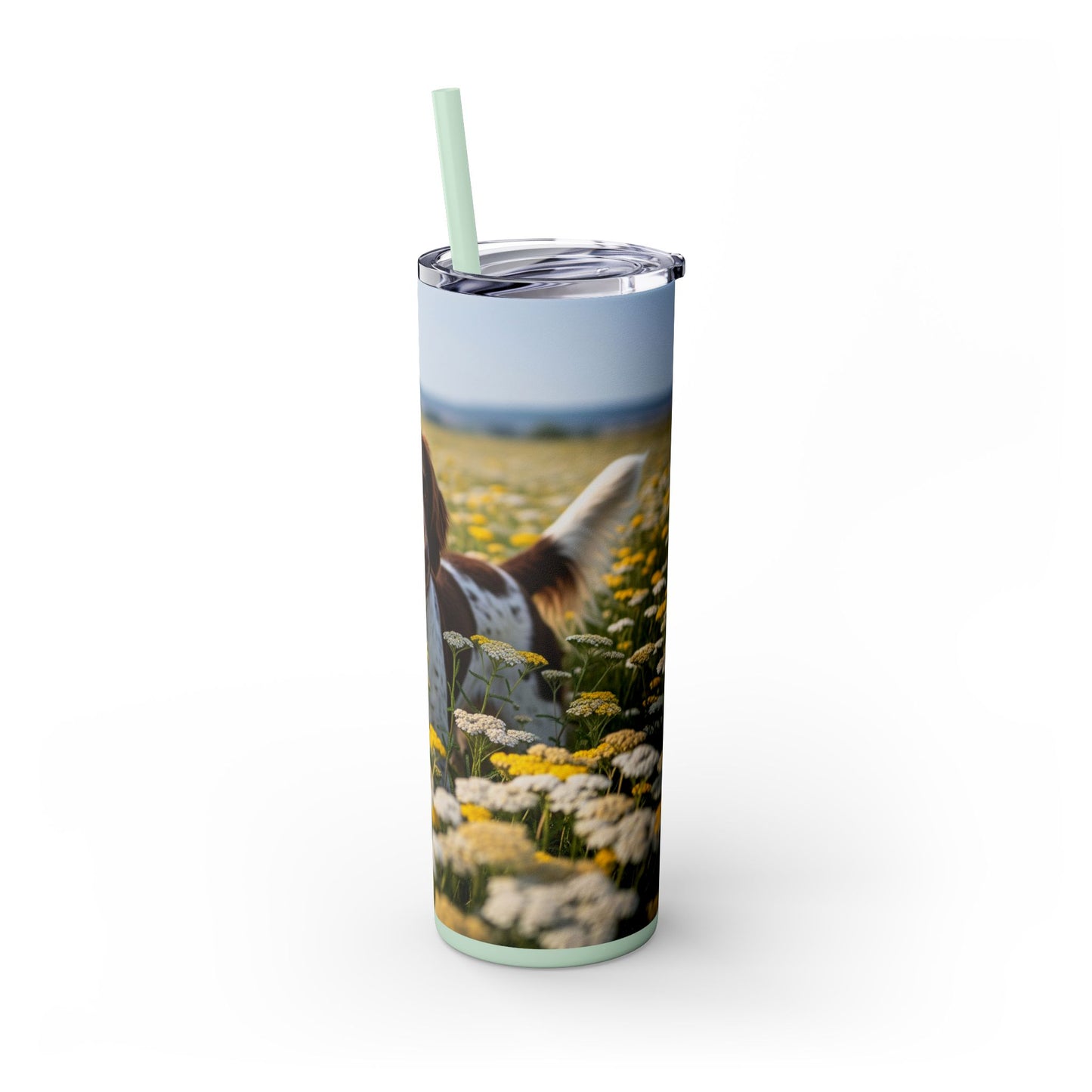 Drentsche Patrijshond Skinny Tumbler with Straw, 20oz