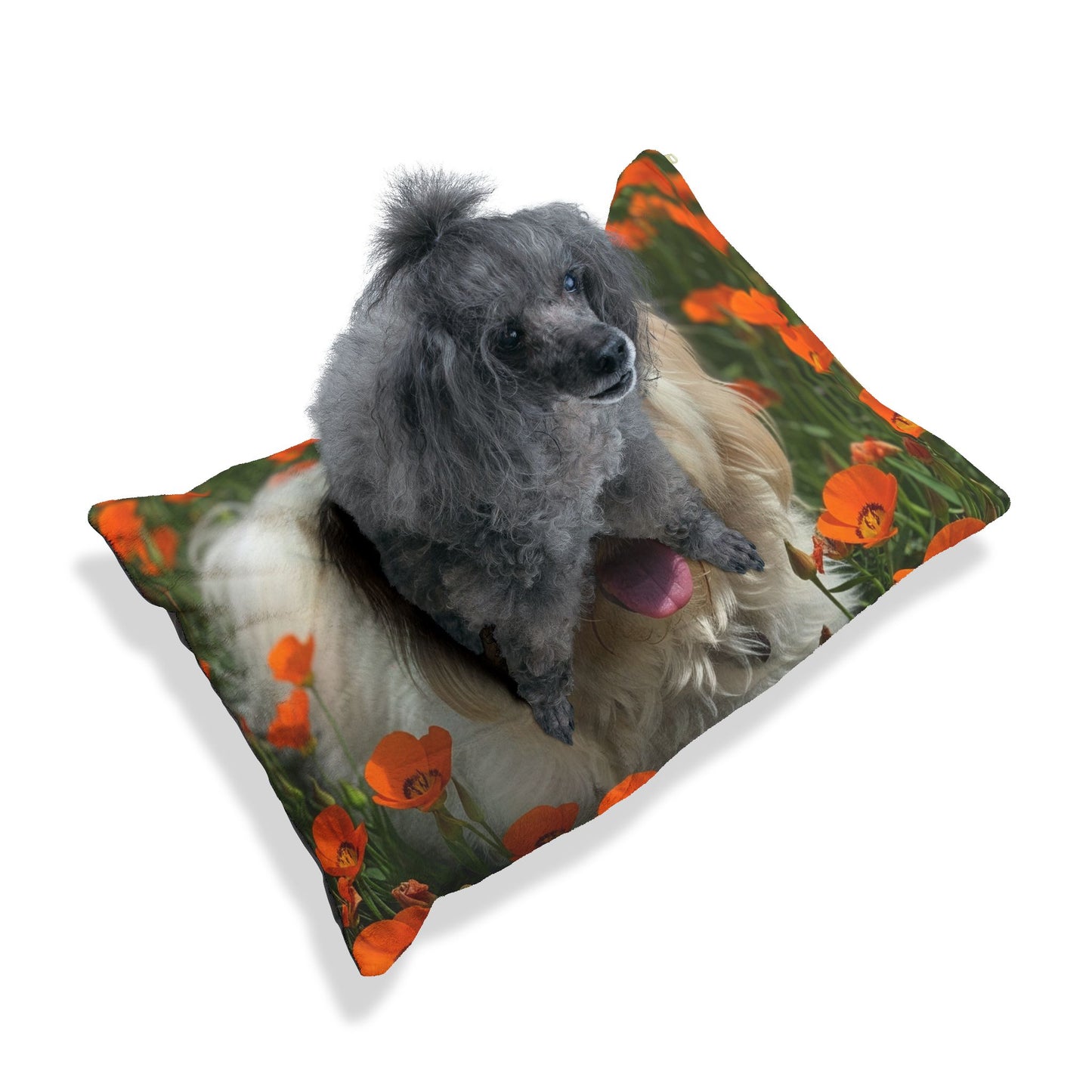 Havanese Pet Bed