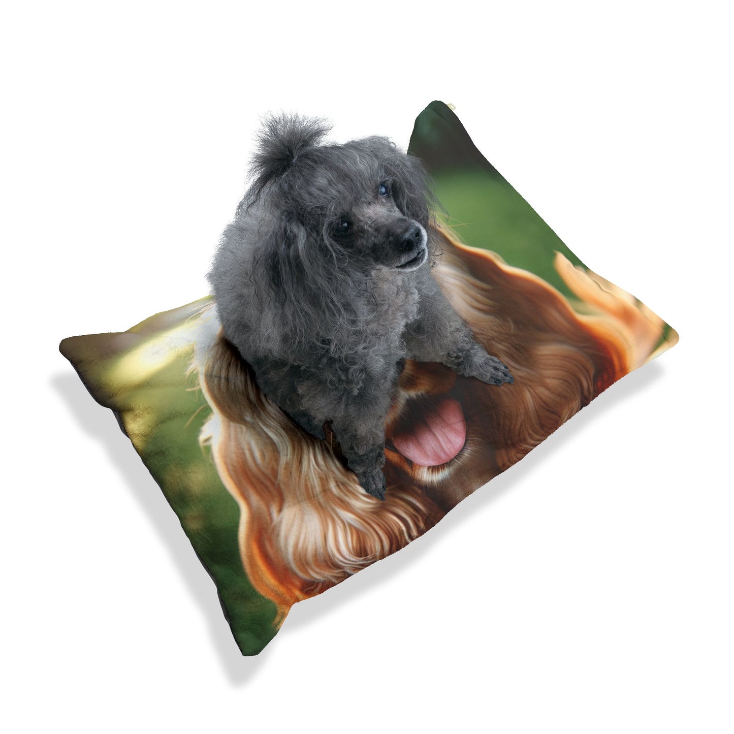 English Cocker Spaniel Pet Bed
