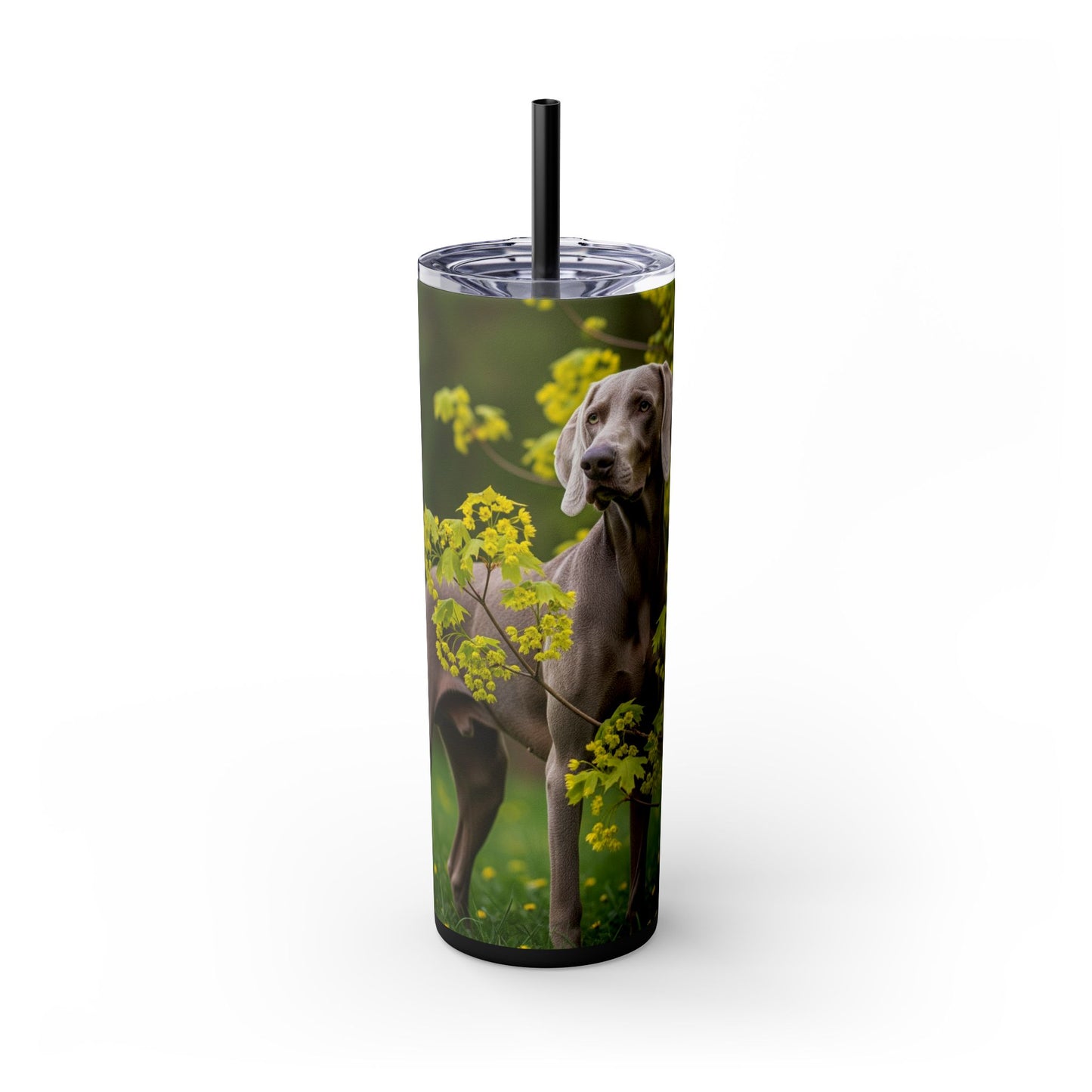 Weimaraner Skinny Tumbler with Straw, 20oz