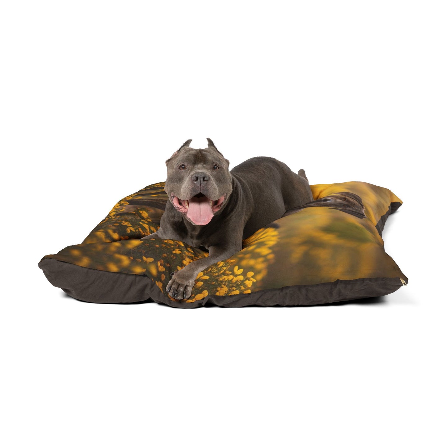 Rafeiro do Alentejo Pet Bed