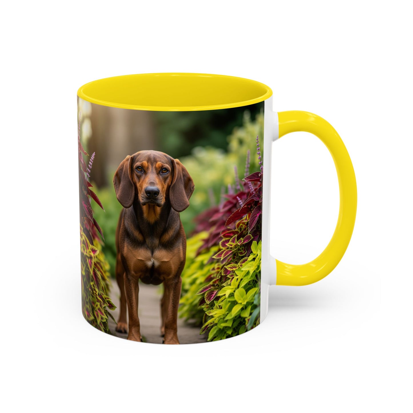 Hamiltonstovare Accent Coffee Mug - Perfect Gift for Dog Lovers