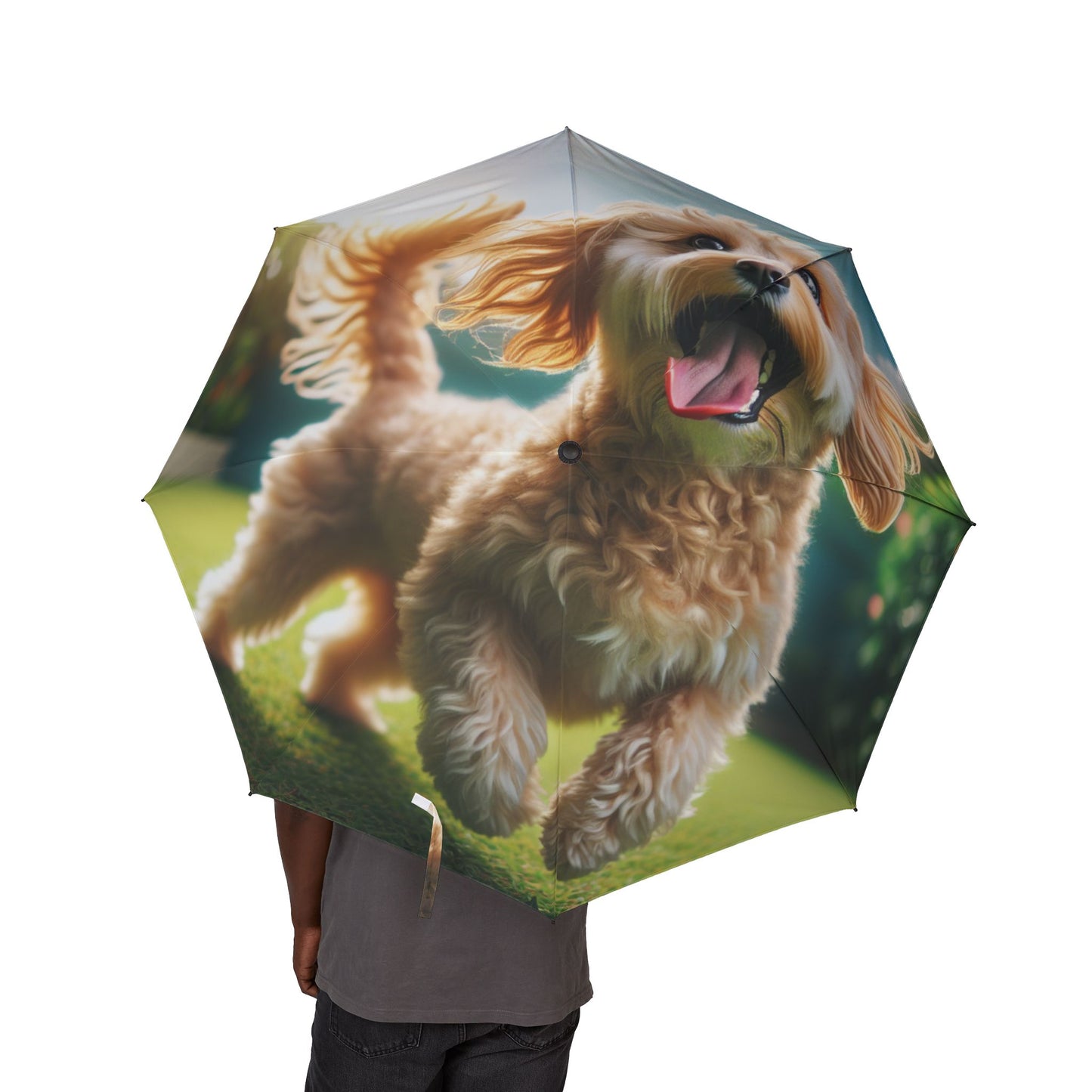 Cavoodle Semi-Automatic Foldable Umbrella