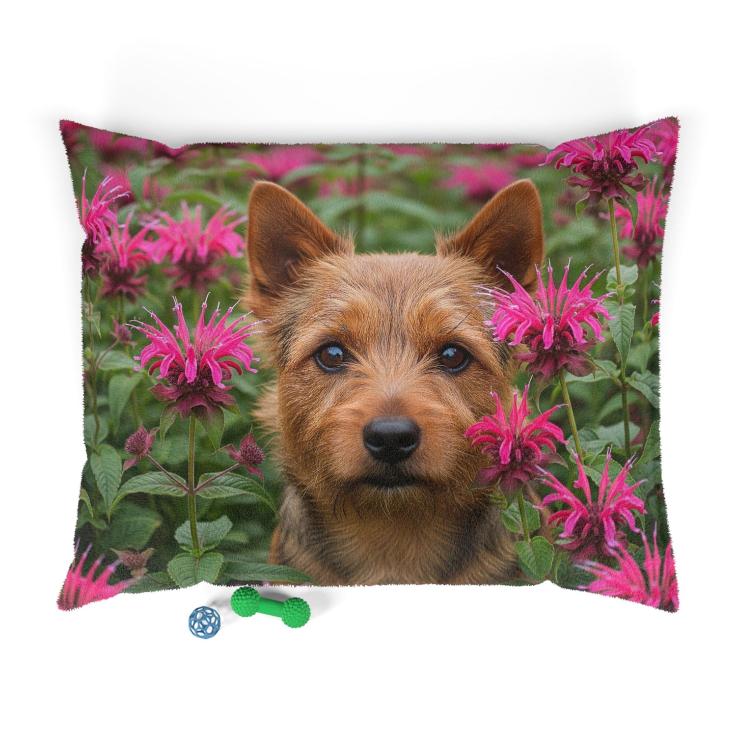 Norwich Terrier Pet Bed