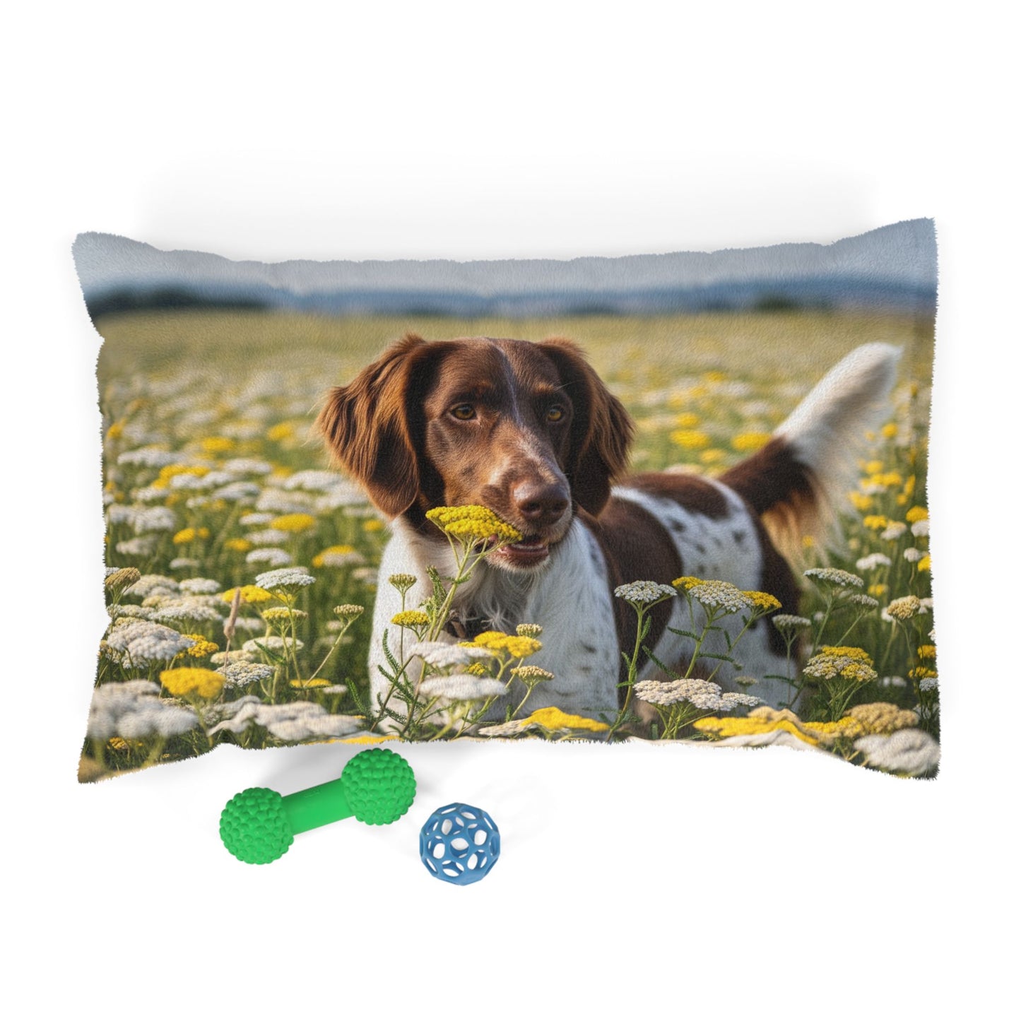 Drentsche Patrijshond Pet Bed