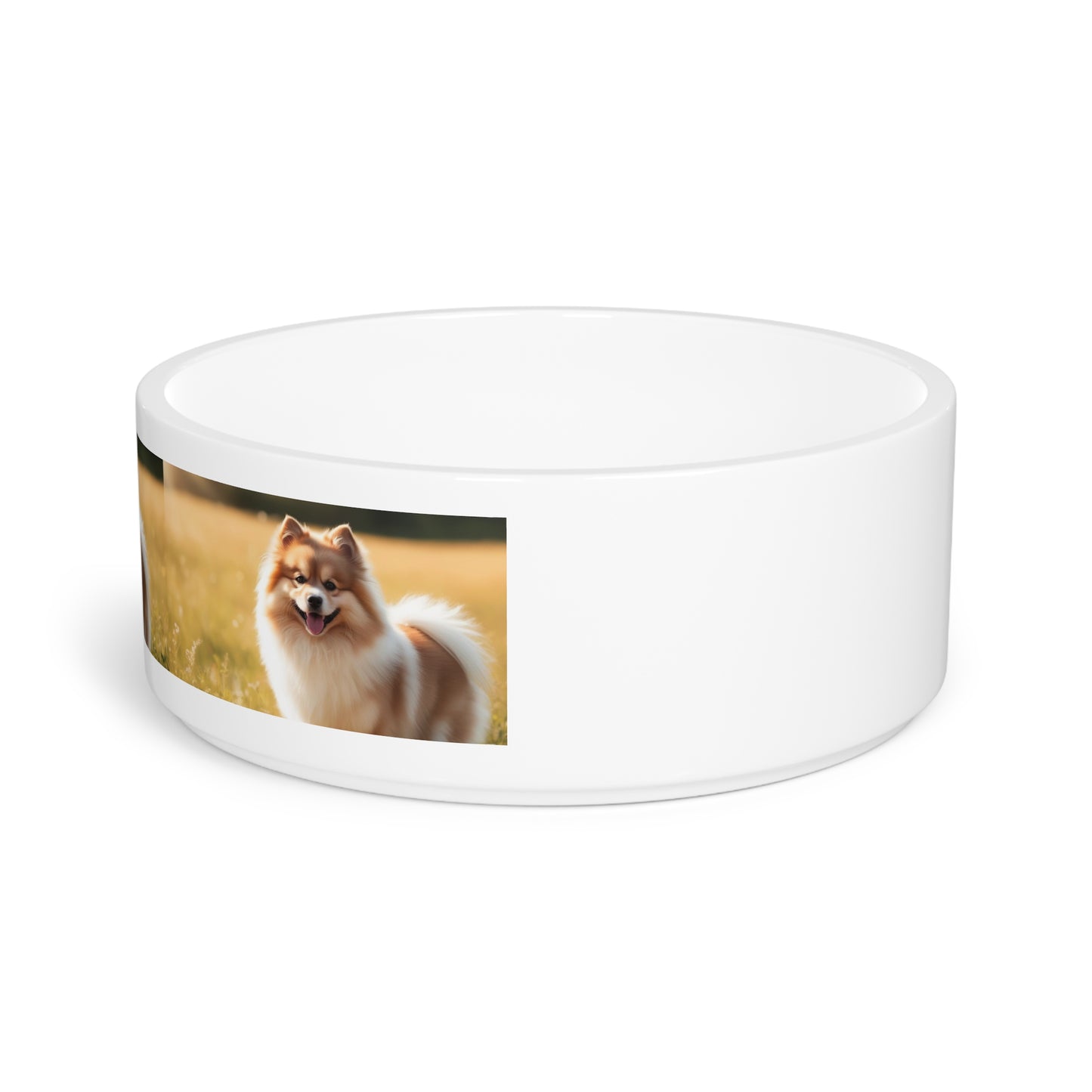 Keeshond Pet Bowl