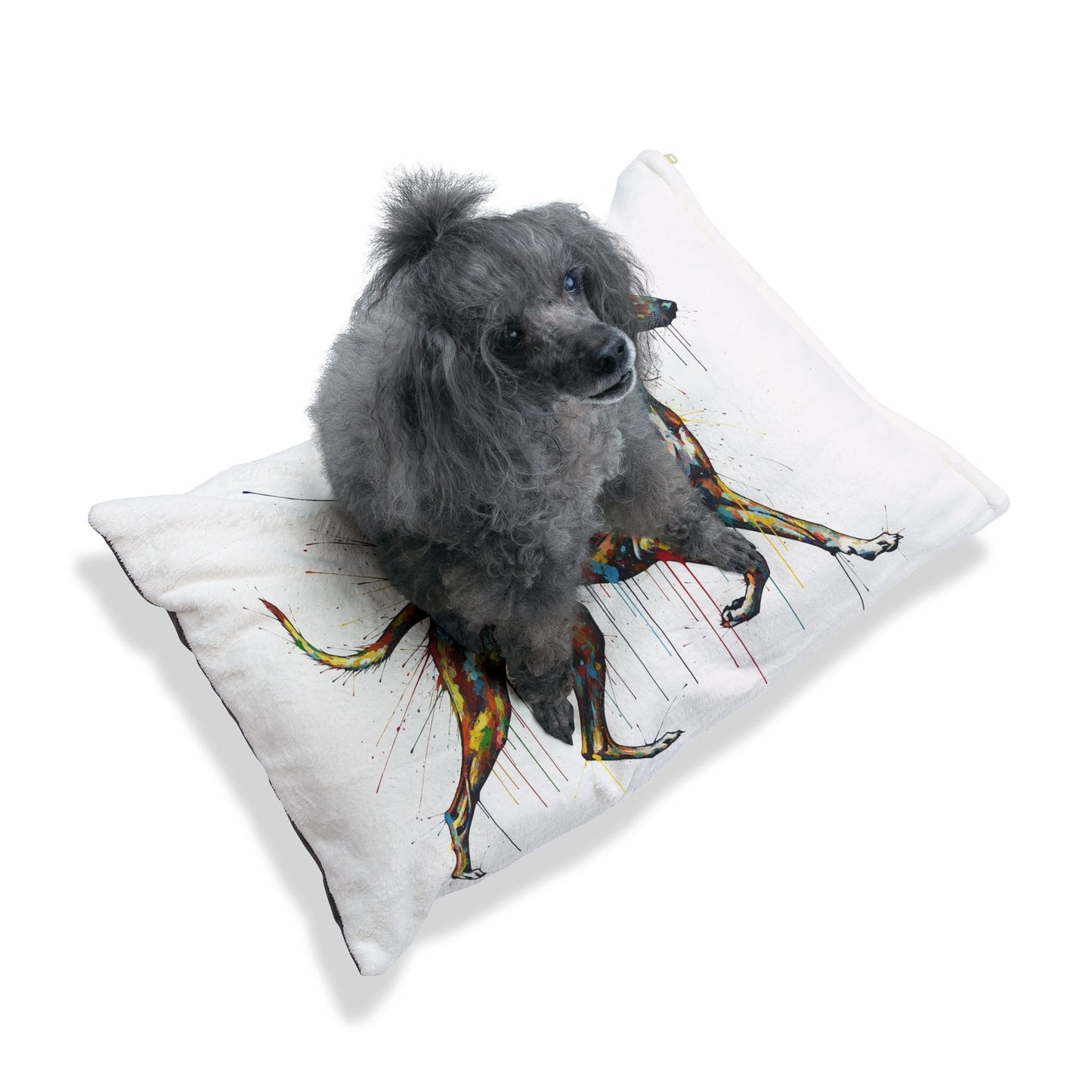 Azawakh Pet Bed