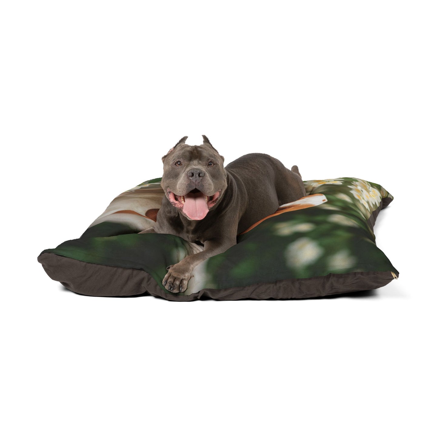 Bracco Italiano Pet Bed