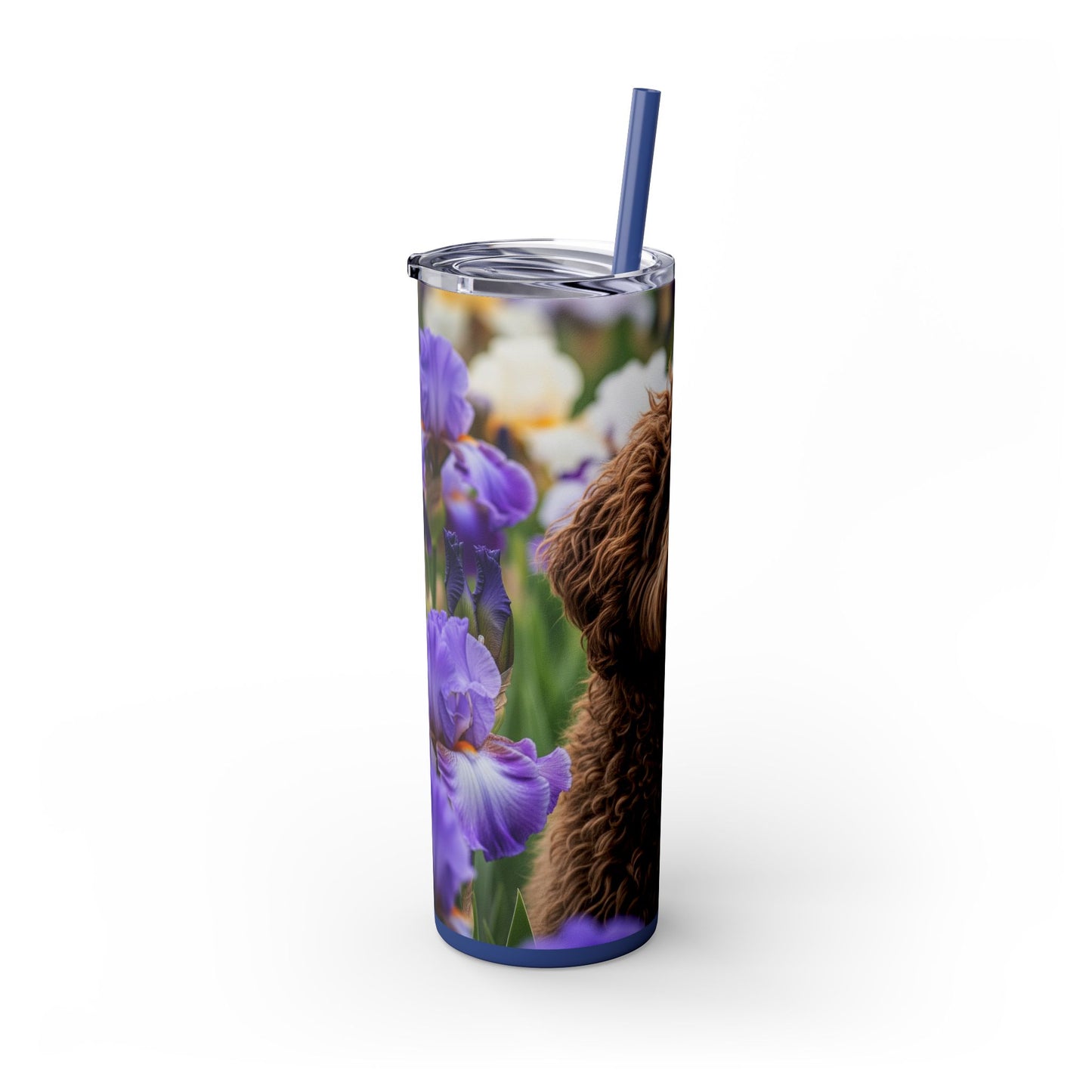 Barbet Skinny Tumbler with Straw, 20oz