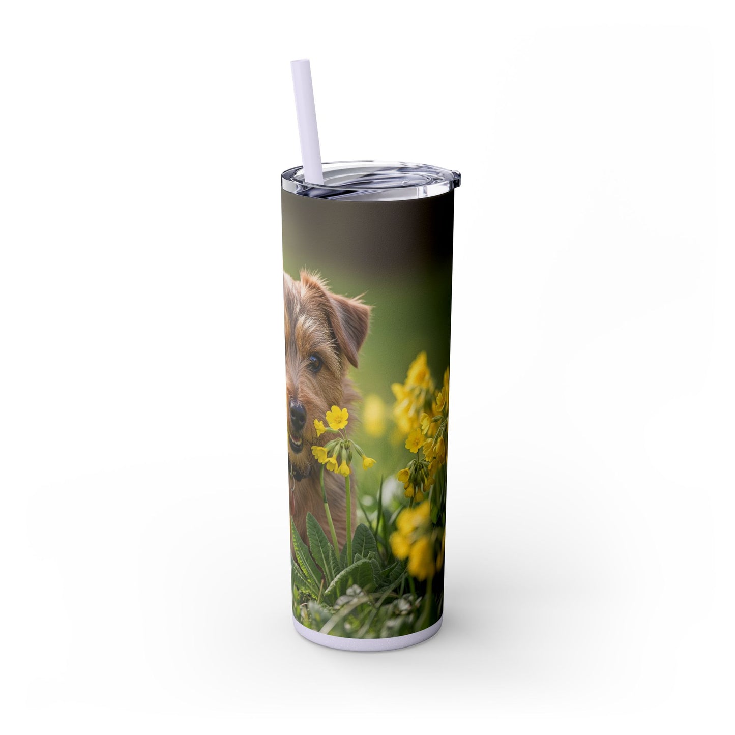 Norfolk Terrier Skinny Tumbler with Straw, 20oz