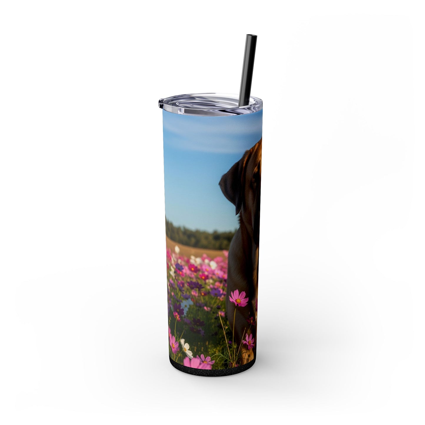 Spanish Mastiff Skinny Tumbler with Straw, 20oz