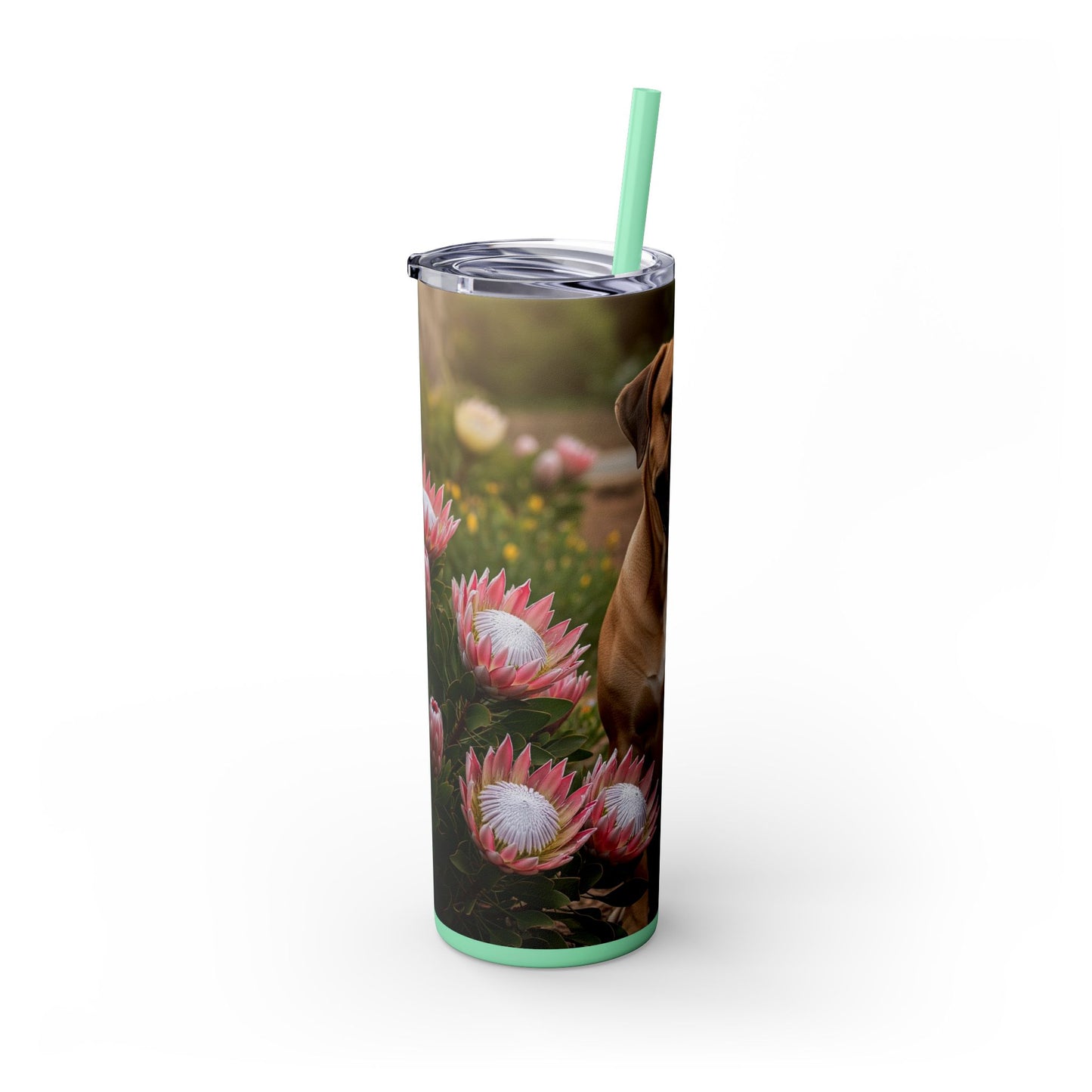 Boerboels Tumbler with Straw, 20oz
