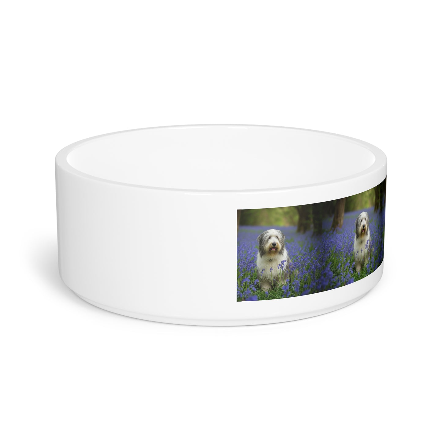 Bearded Collie Pet Bowl