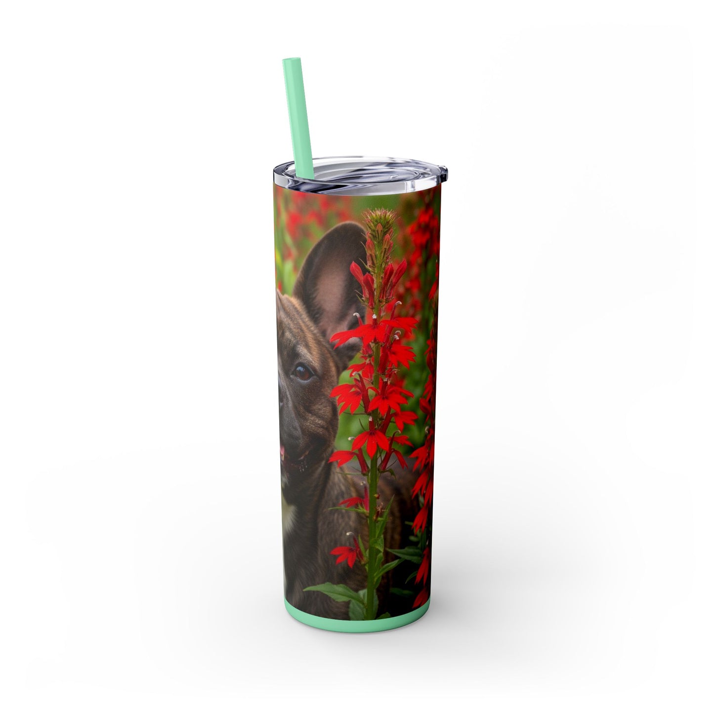 Frenchton Tumbler with Straw, 20oz