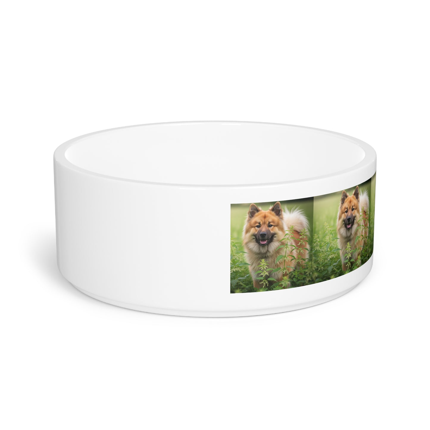 Eurasier Pet Bowl
