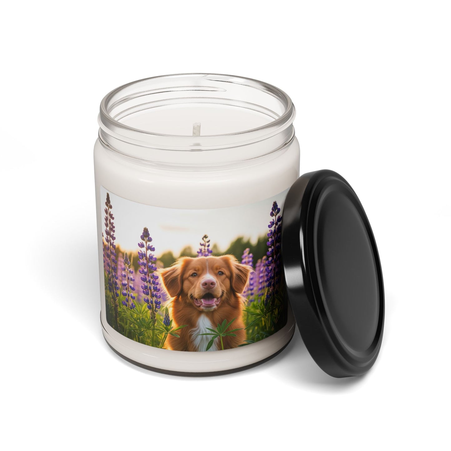 Nova Scotia Duck Tolling Retriever- Scented Soy Candle, 9oz