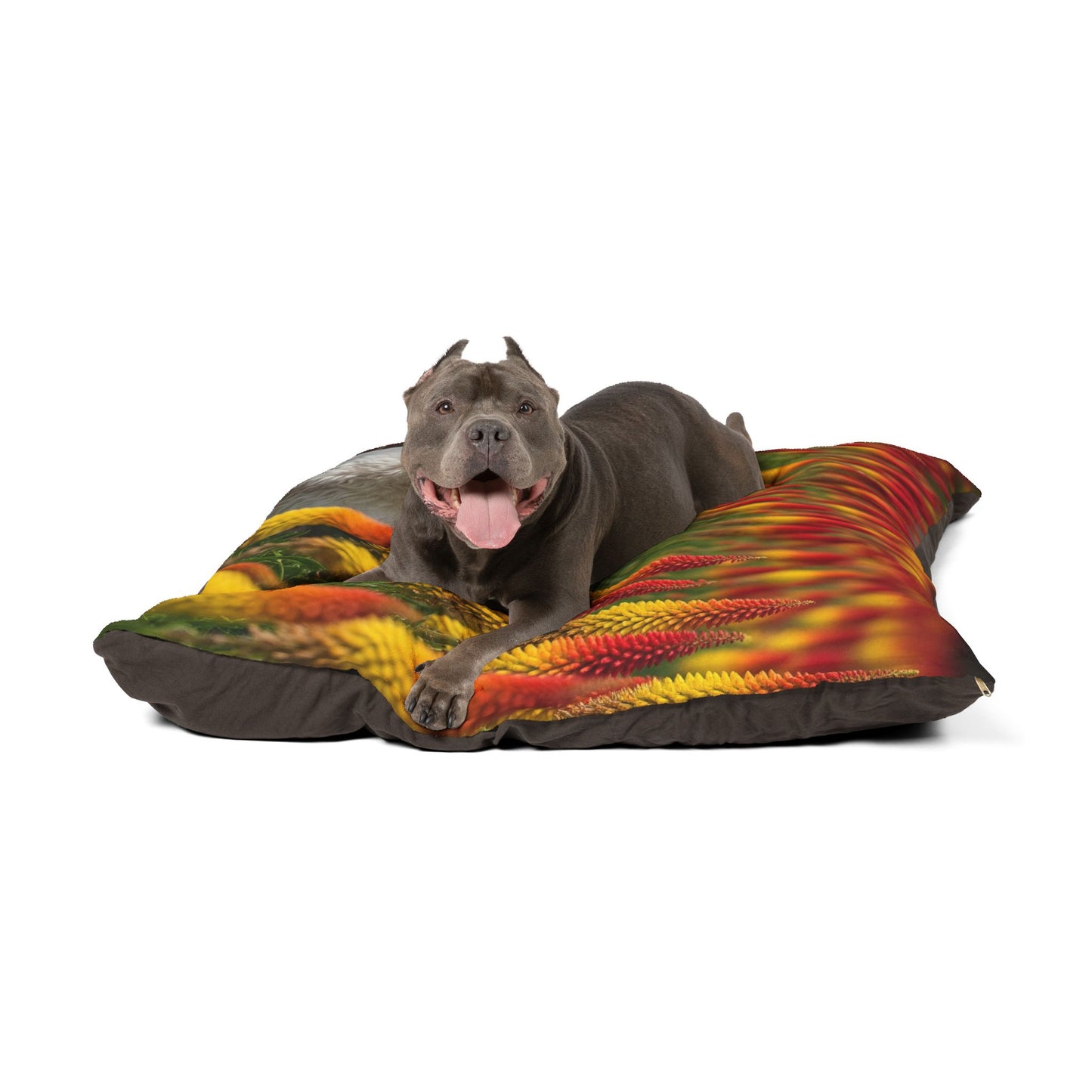 Bichonpoo Pet Bed
