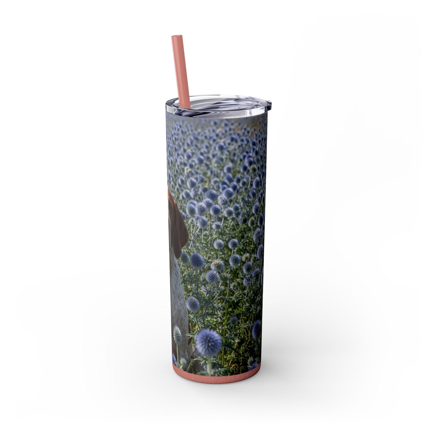 Braque Francais Pyrenean Tumbler with Straw, 20oz