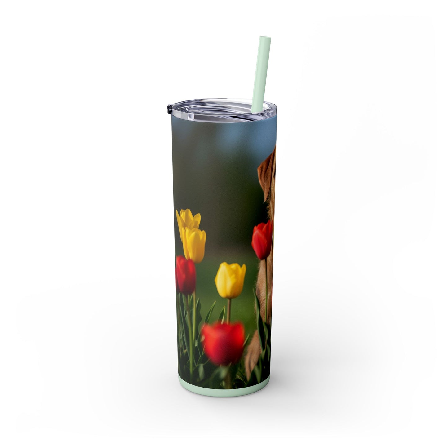 Pumi Skinny Tumbler with Straw, 20oz