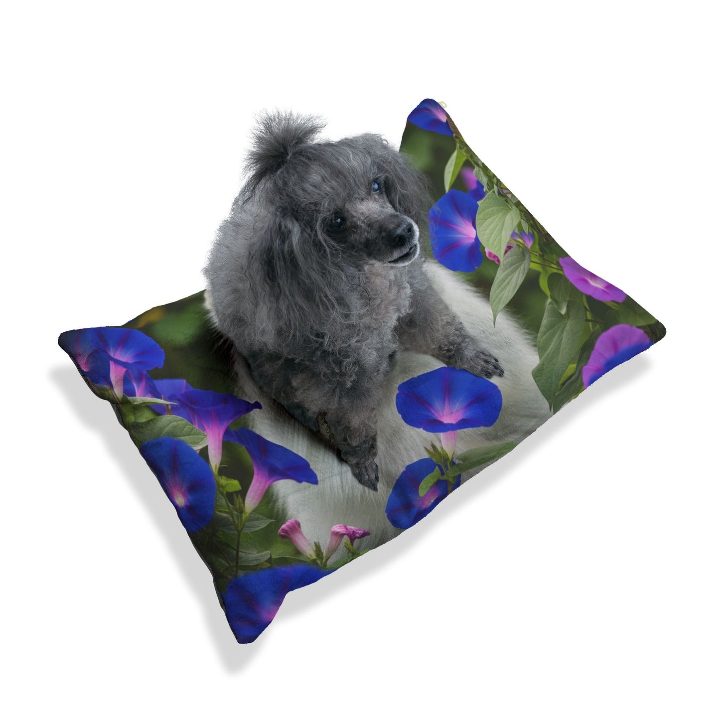 Japanese Spitz Pet Bed