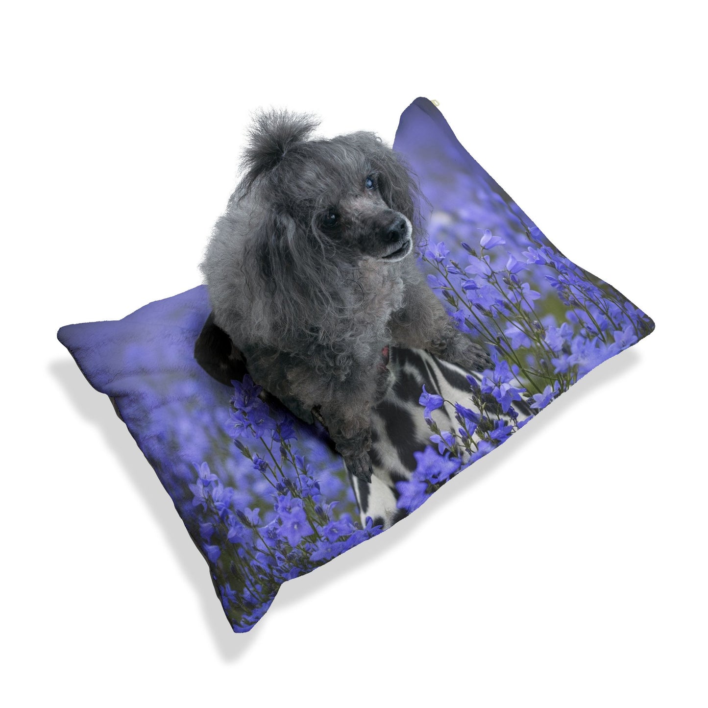 Dalmatian Pet Bed