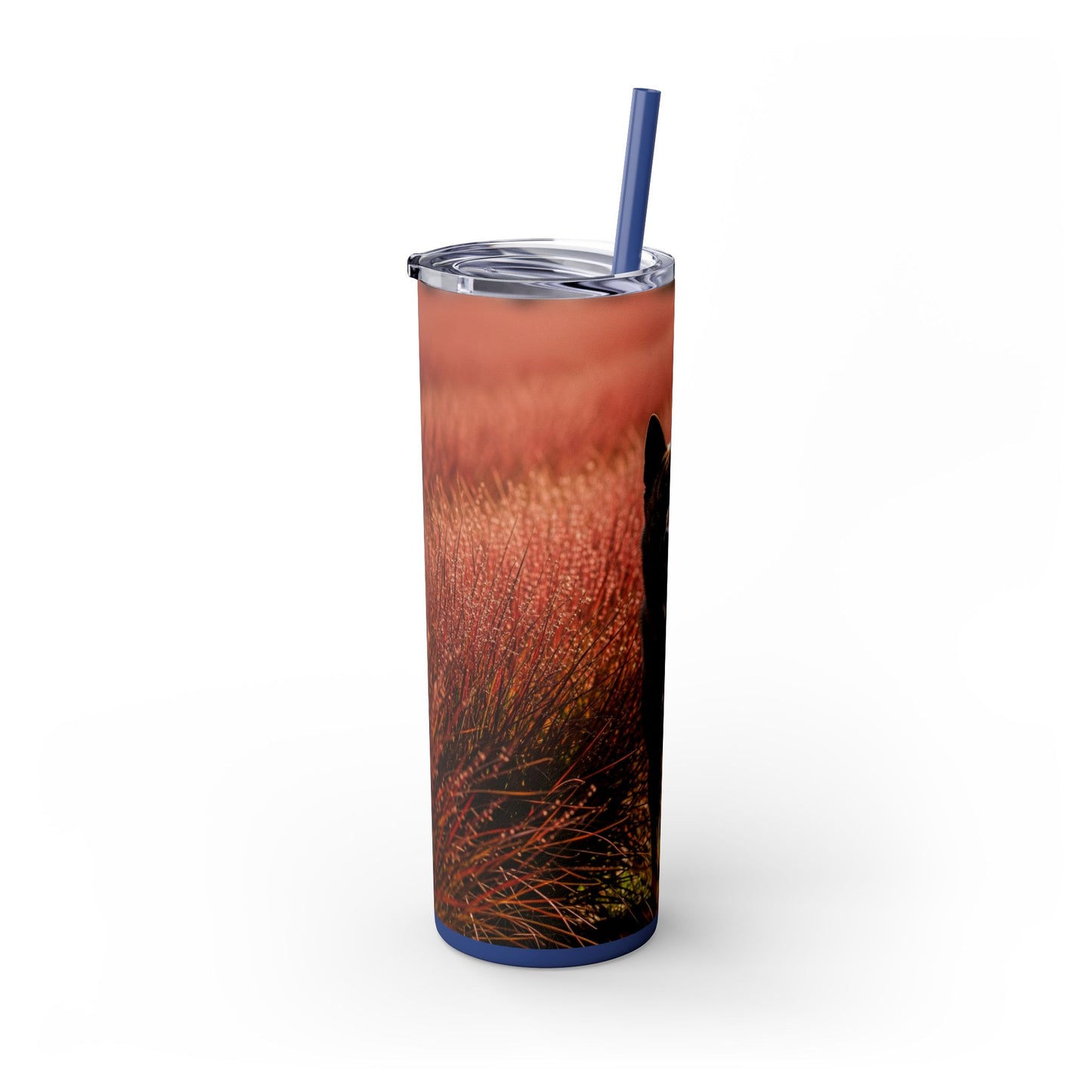 Kai Ken Tumbler with Straw, 20oz