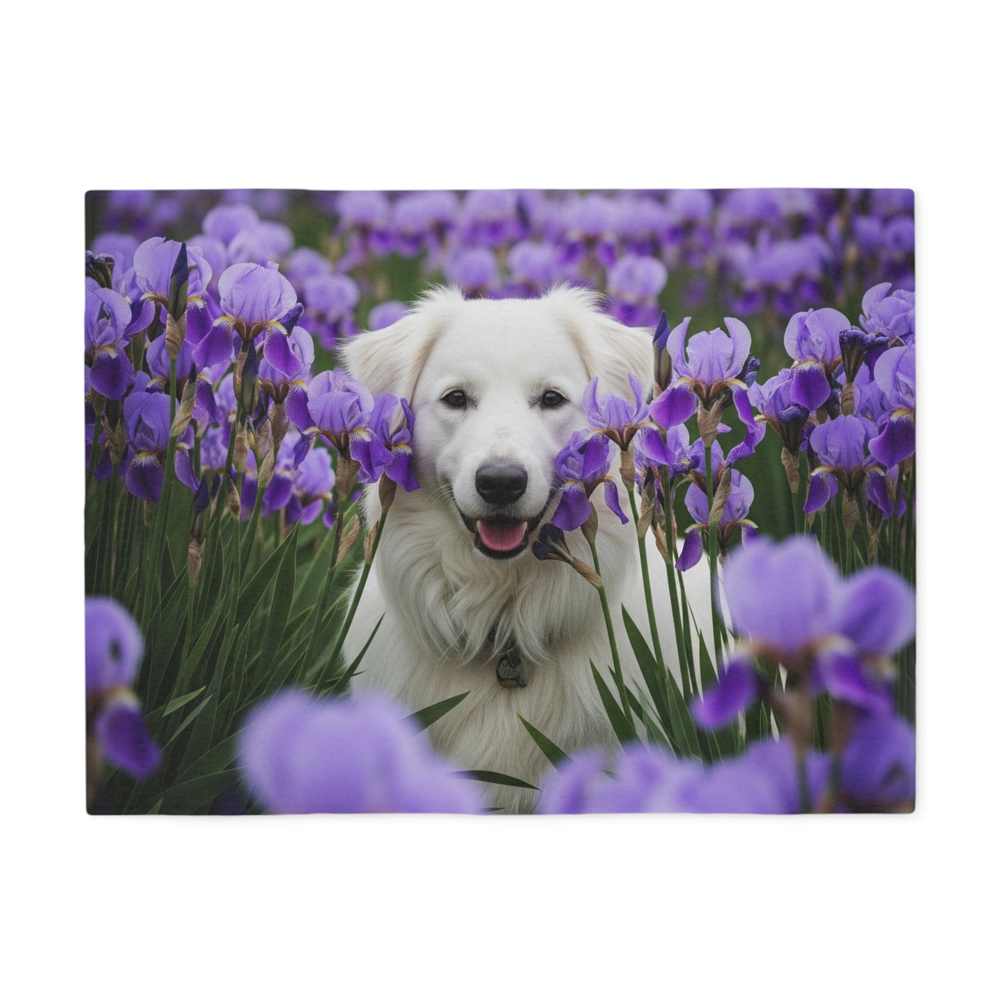 Croatian Sheepdog Sweatshirt Blanket