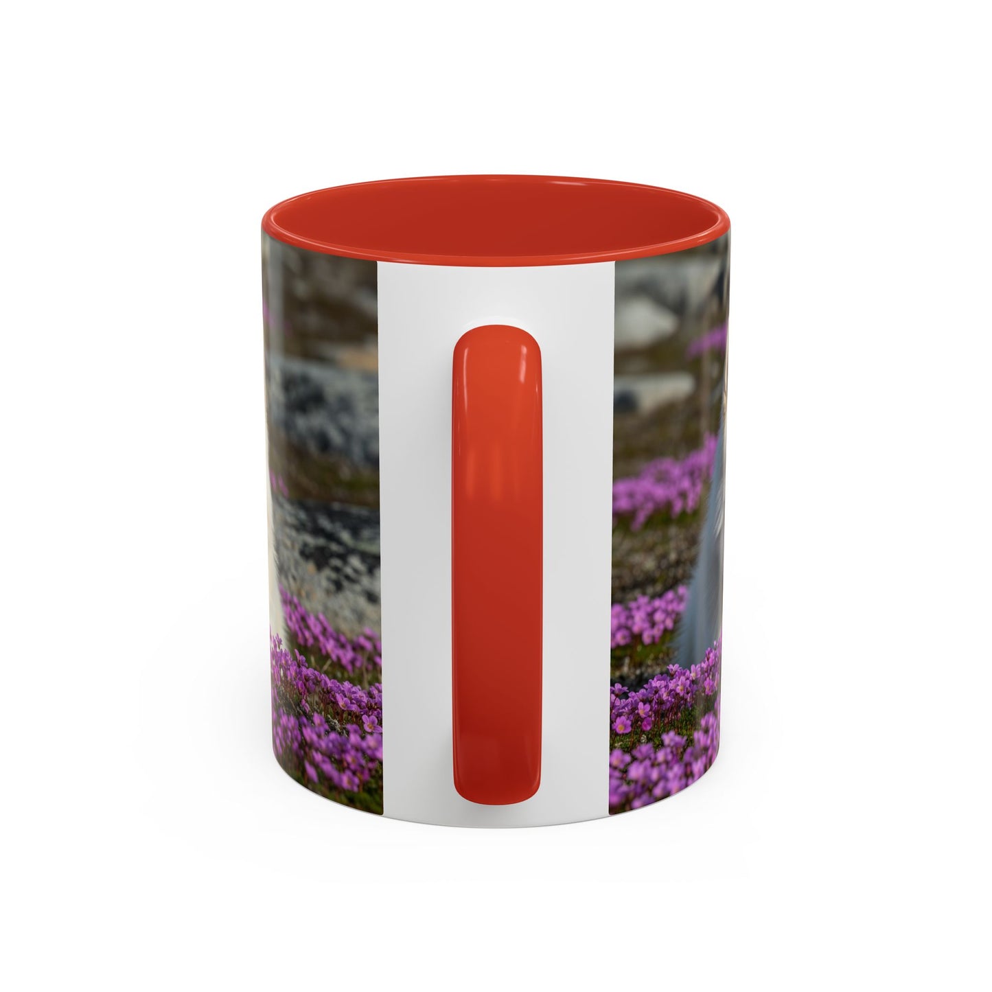 Canadian Eskimo Dog Accent Coffee Mug - Perfect Gift for Dog Lovers