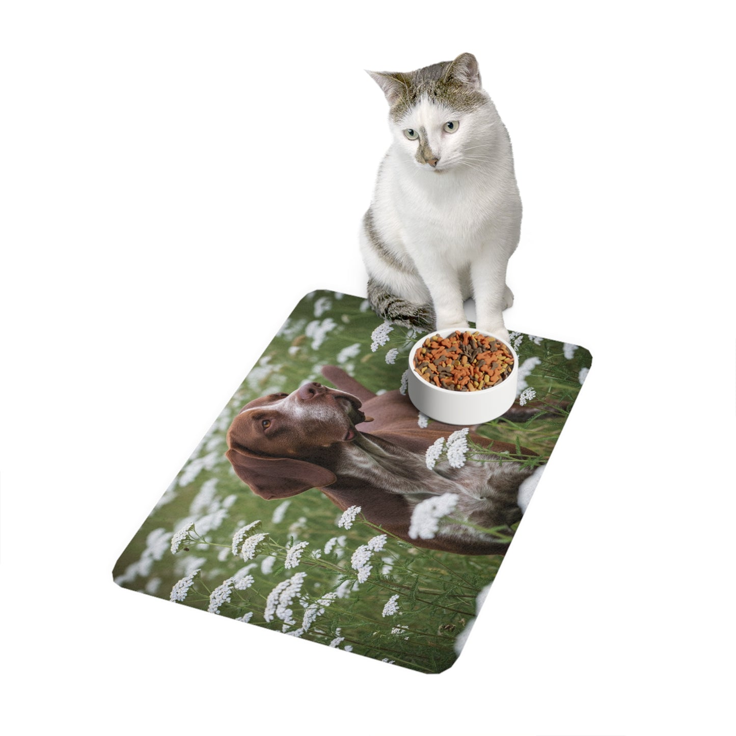 Pet Food Mat (12x18) - Braque du Bourbonnais