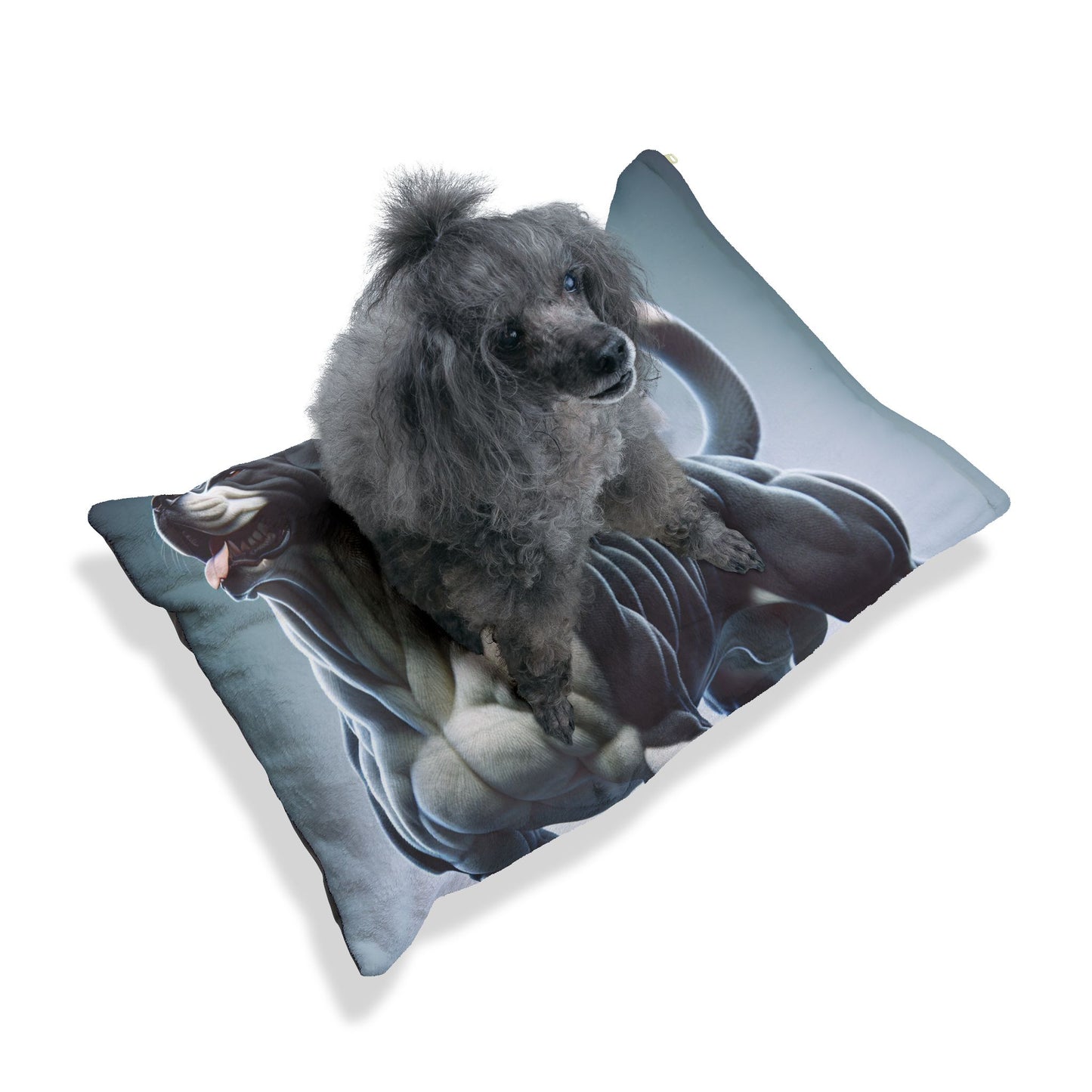 Gull Dong Pet Bed