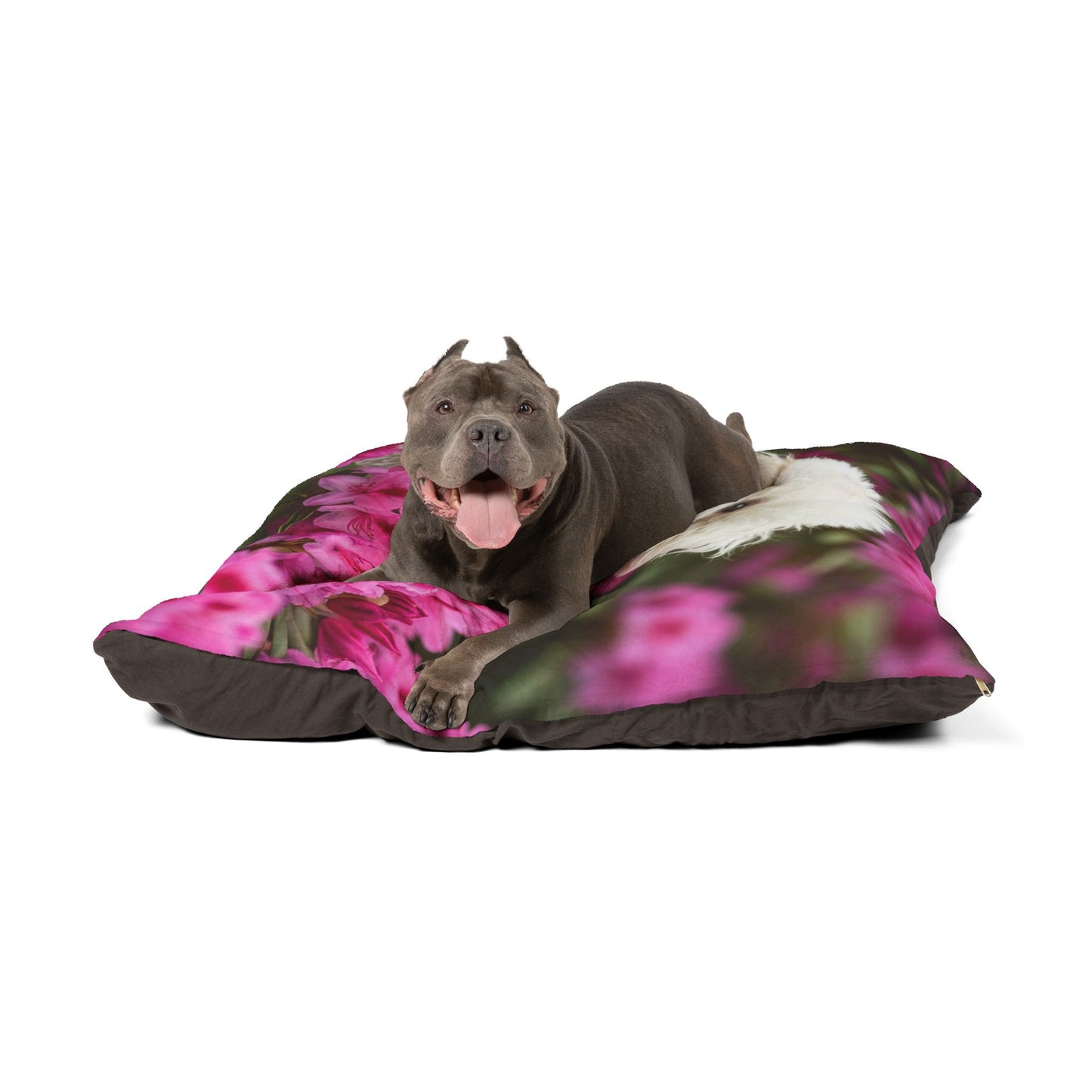 Bichon Frise Pet Bed