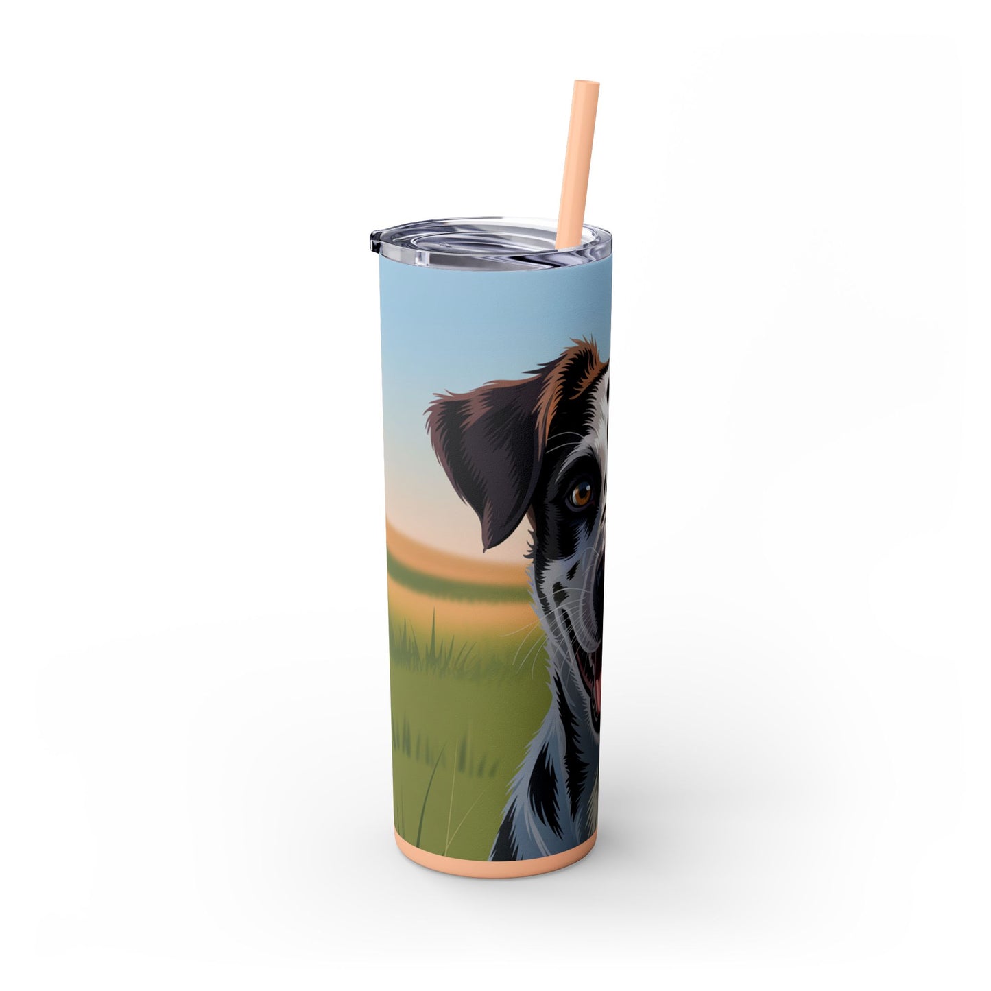 Telomian Skinny Tumbler with Straw, 20oz