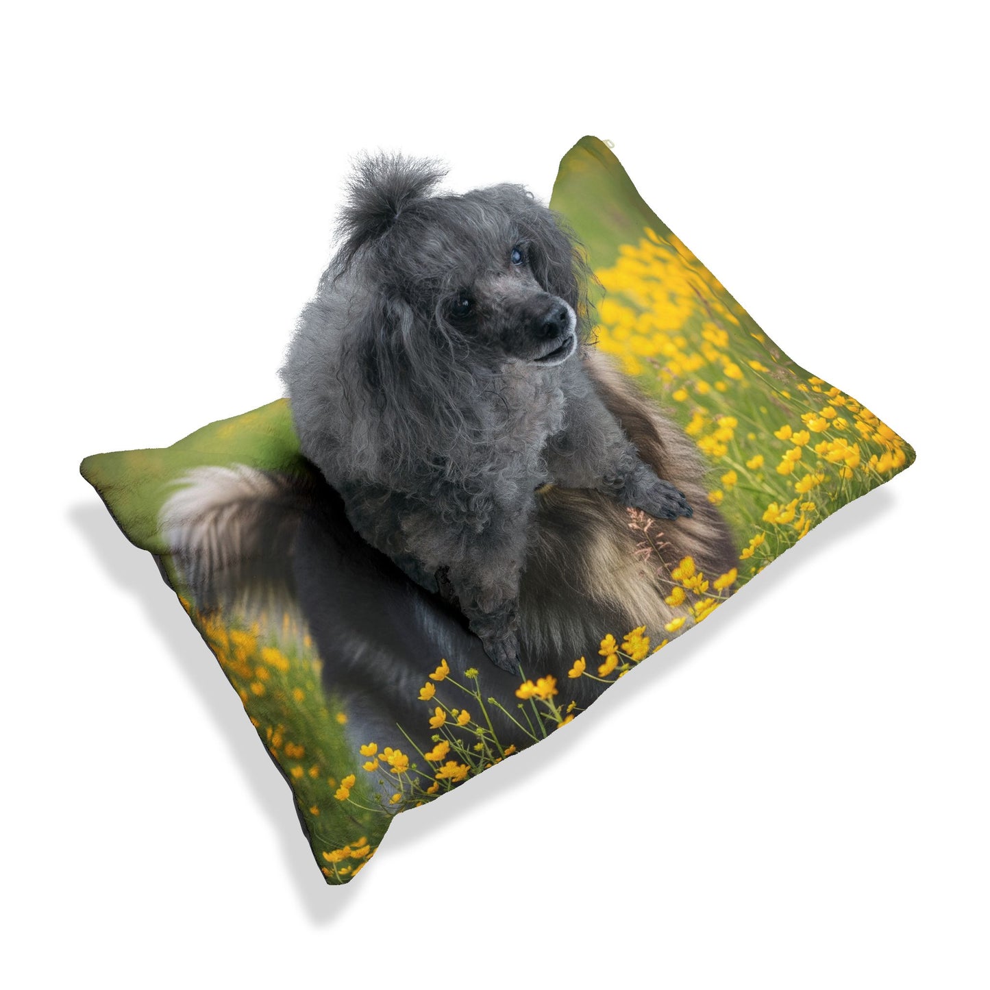 Belgian Sheepdog Pet Bed