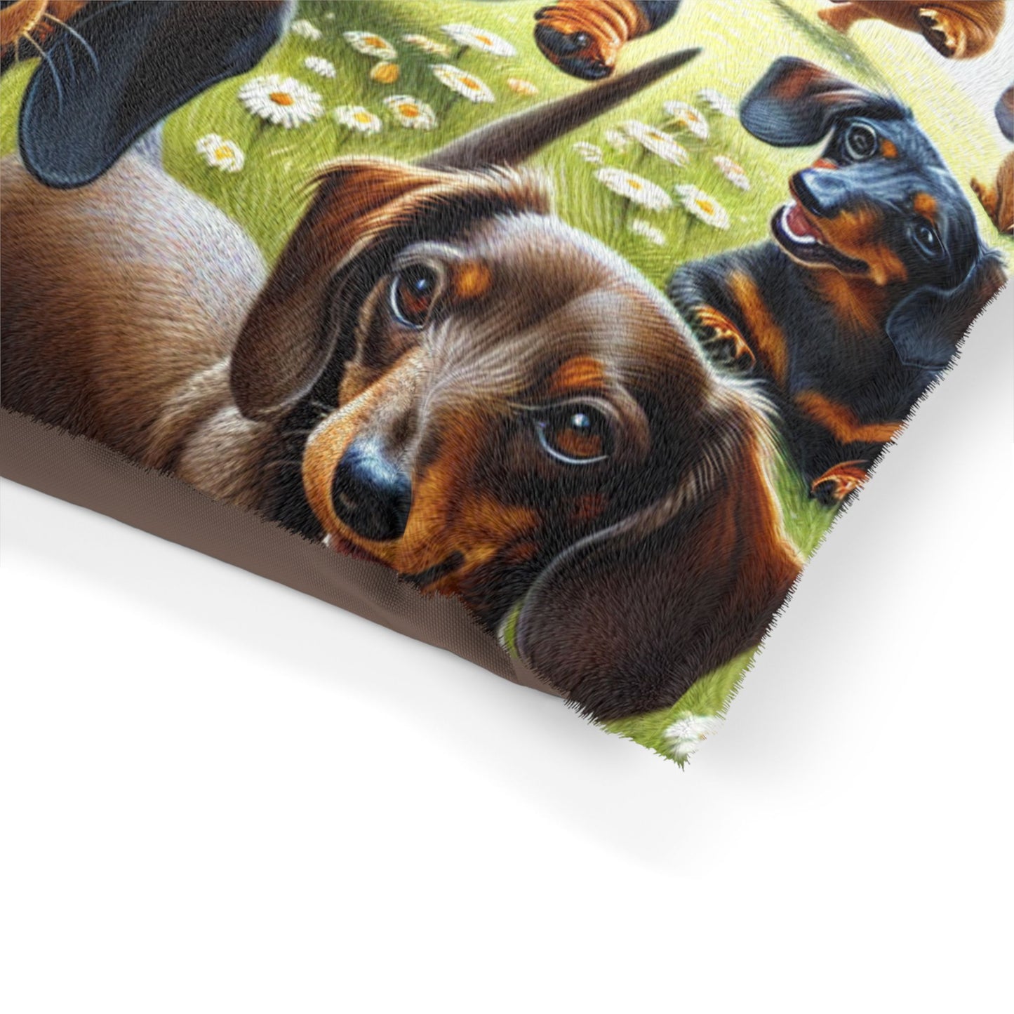 Dachshund Pet Bed