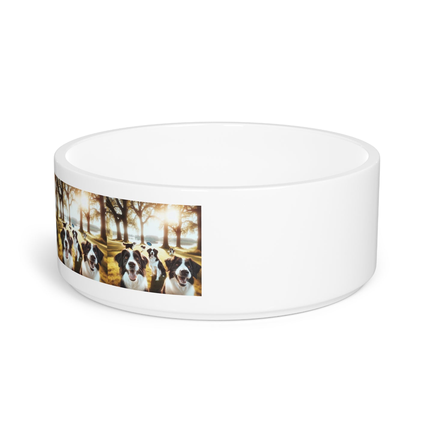 Stabyhouns Pet Bowl